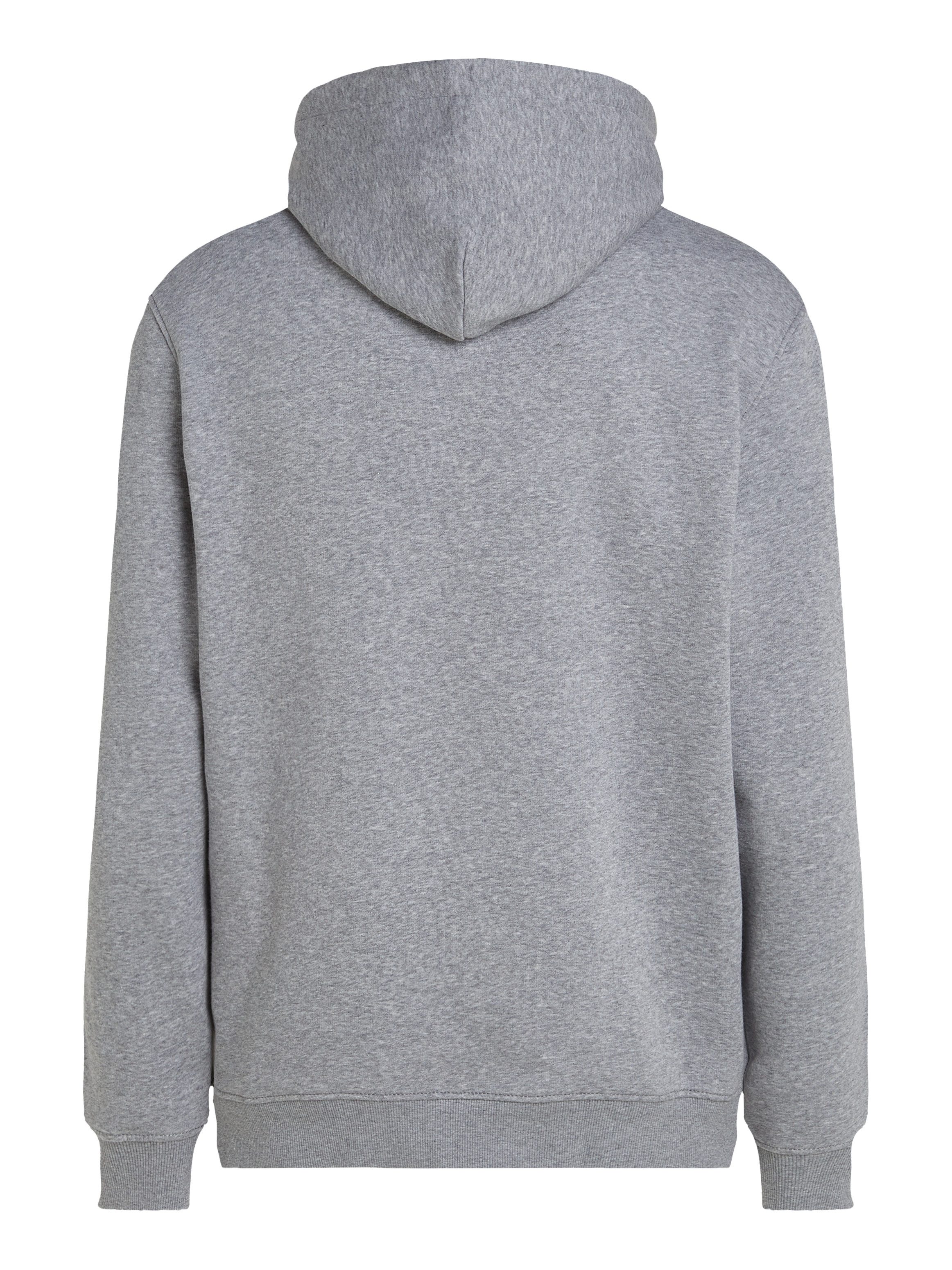 TOMMY JEANS Sweatshirt TJM REG ESSENTIAL FLAG HOOD EXT met bedrukte merklogo op borsthoogte