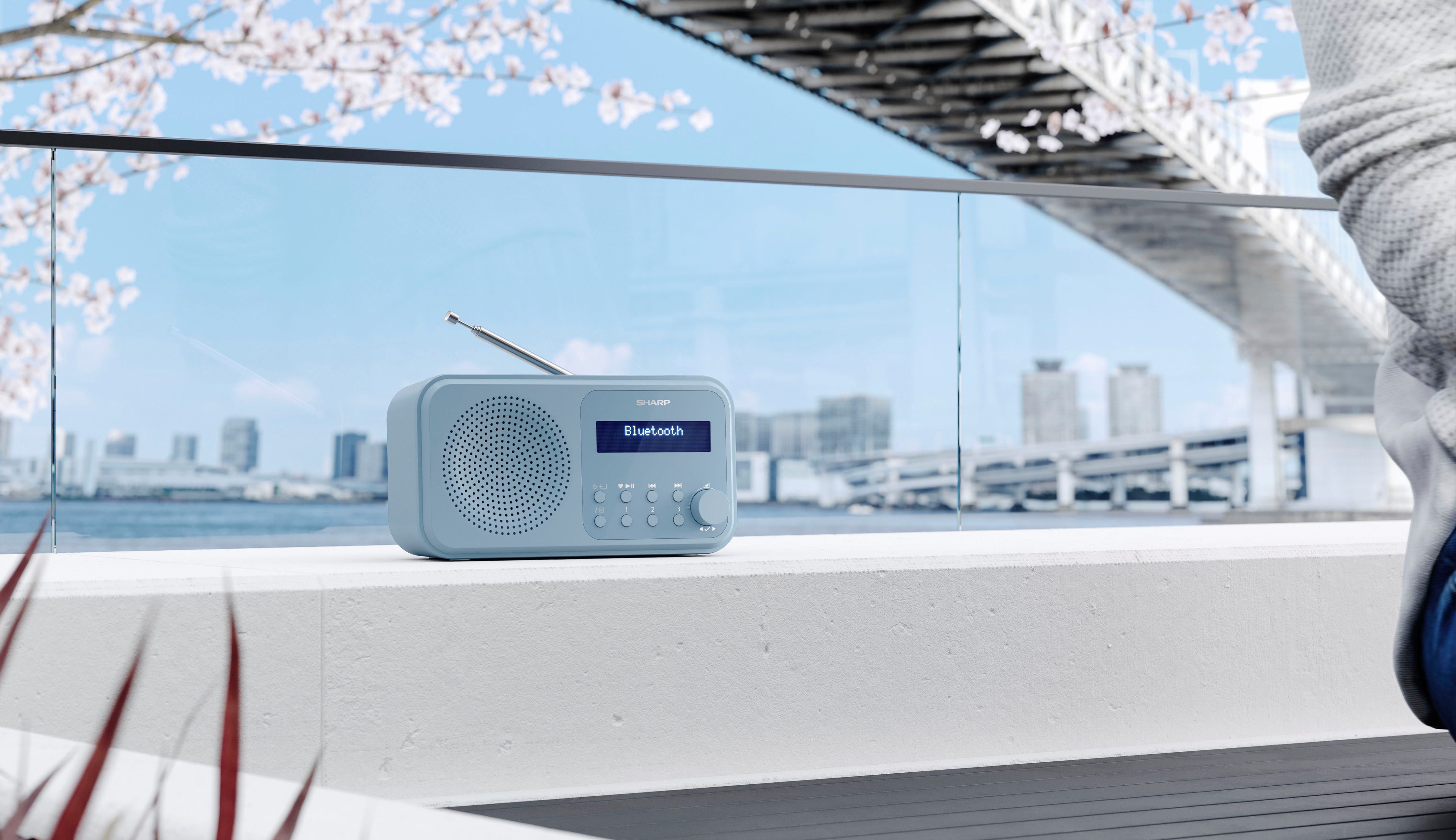 Sharp Radio DR-P420
