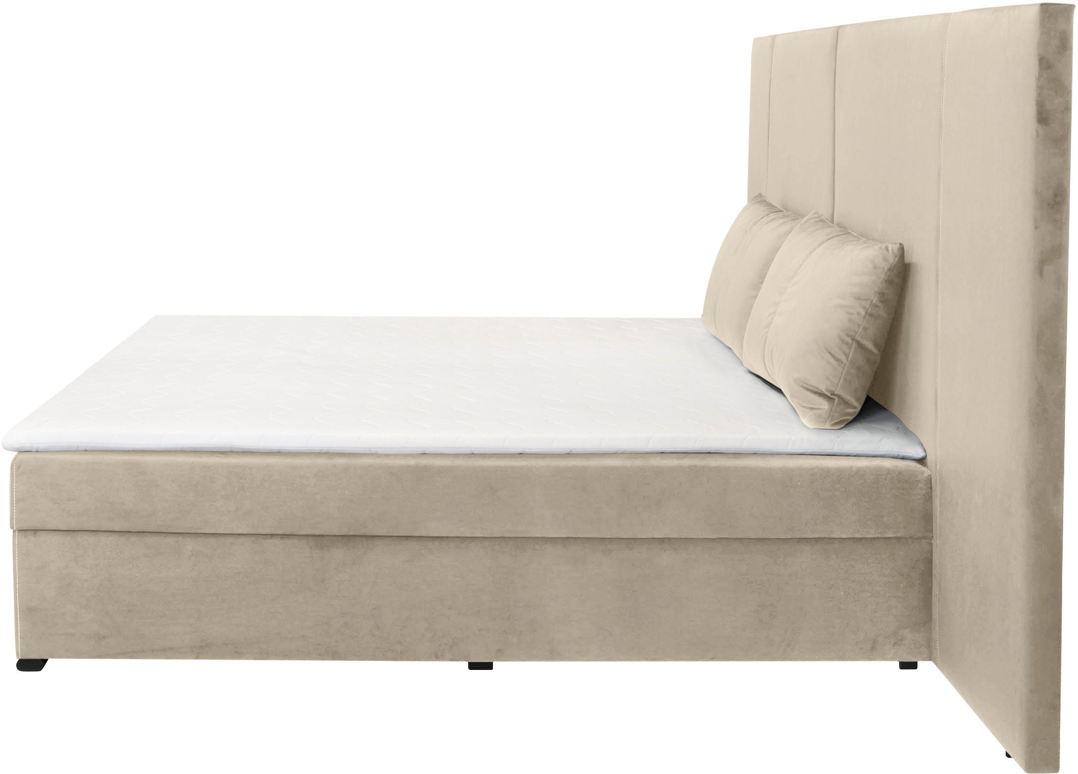 COLLECTION AB Boxspring 30 jaar jubileum model BIG incl. topmatras & bedkist, naar keuze h2,h3,h4
