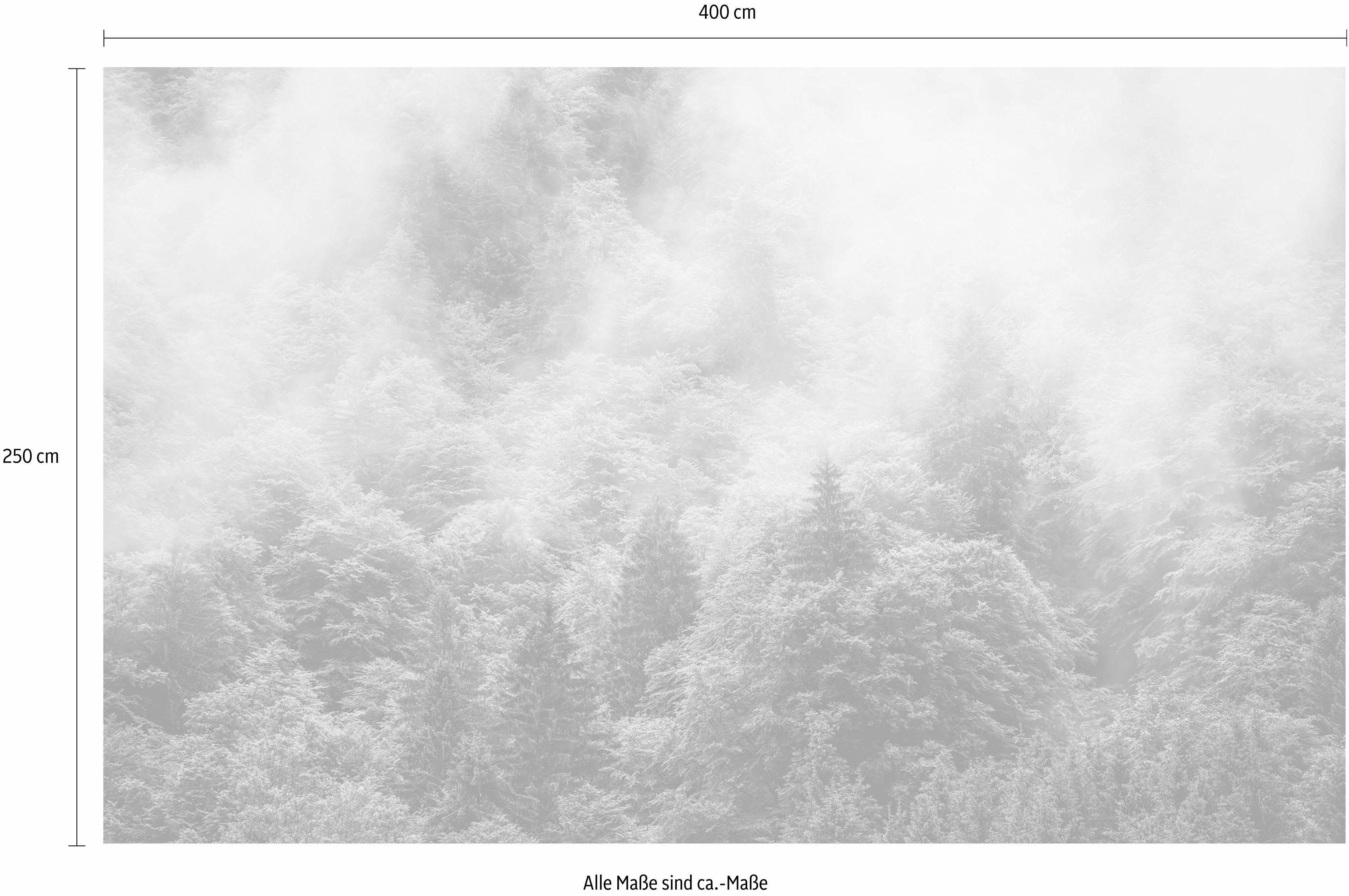 Komar Vliesbehang Digitale print vlies - Forest Land - Afmeting 400 x 250 cm (1 stuk)