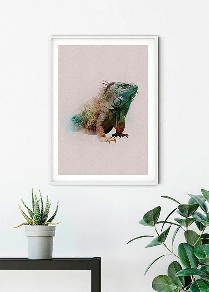 Komar Wanddecoratie Animals Paradise Iguana Wanddecoratie - zonder lijst (1 stuk)