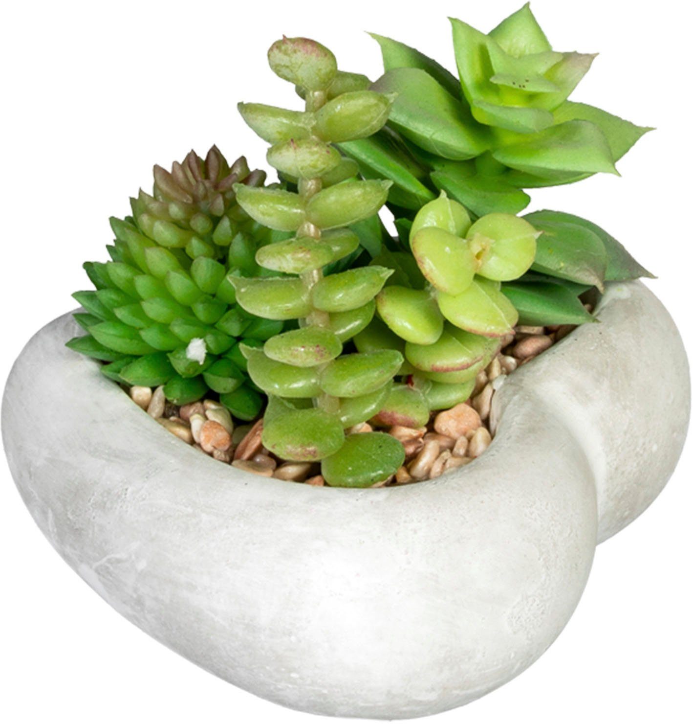 Creativ green Kunst-potplanten Vetplanten-arrangement in cementkom, set van 3 (3 stuks)