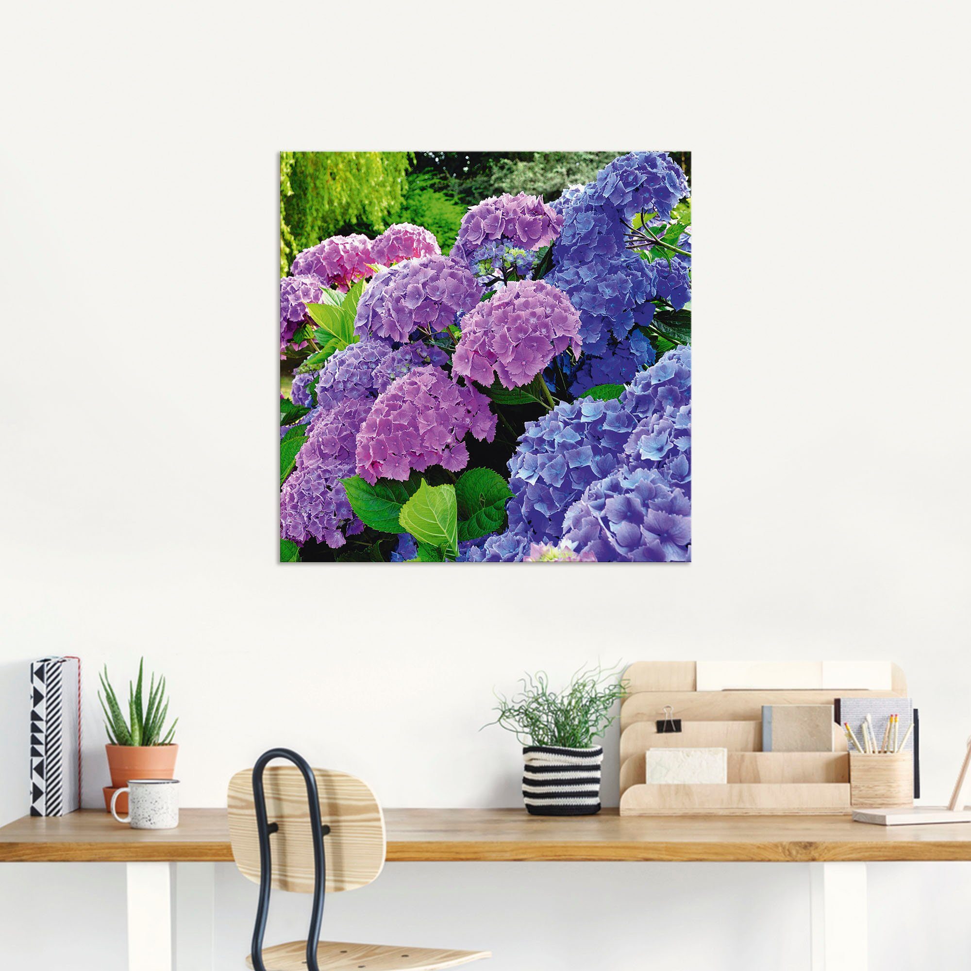 Artland Artprint Hortensia's in de tuin als artprint van aluminium, artprint voor buiten, artprint op linnen, poster, muursticker