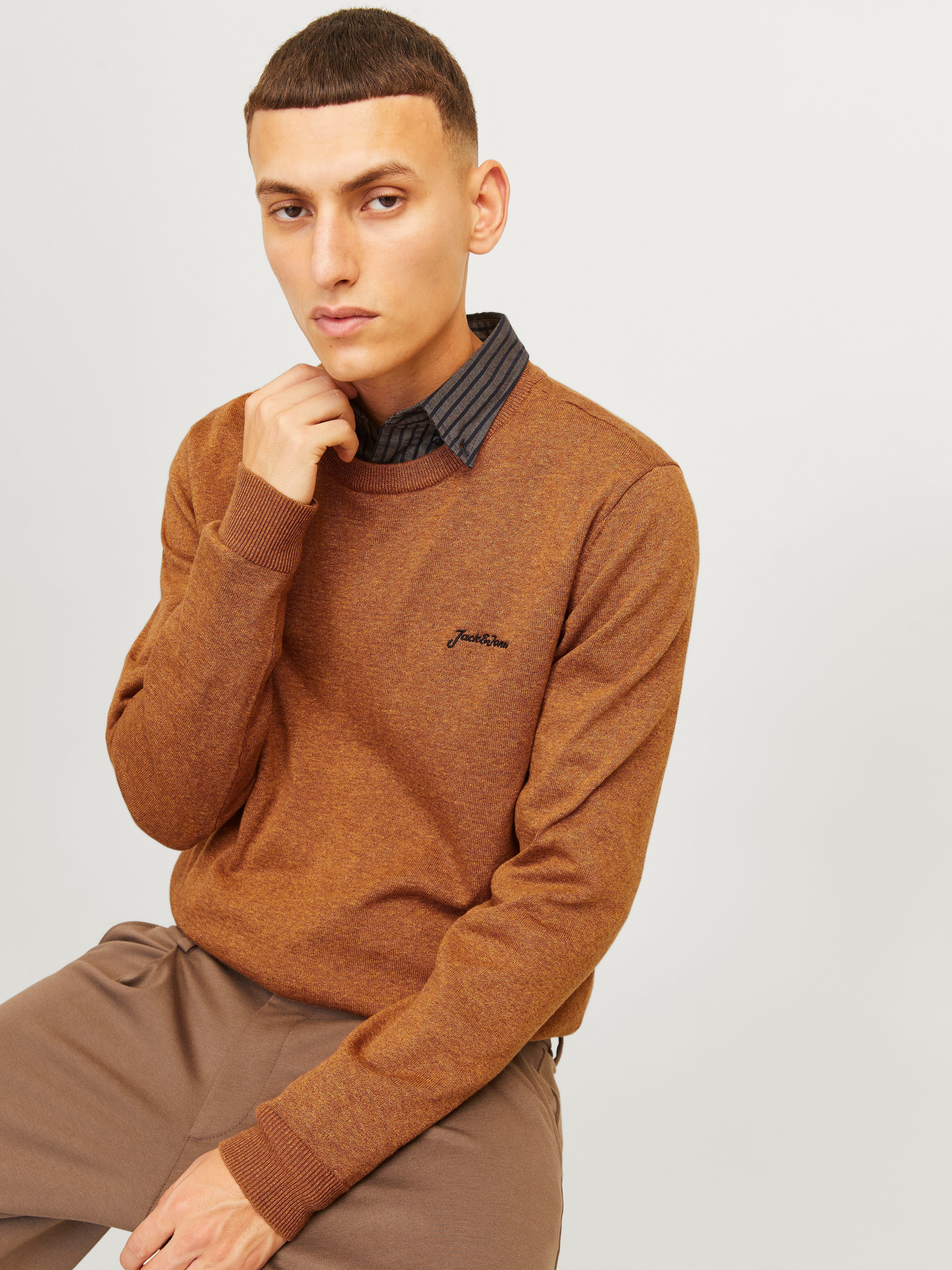 Jack & Jones Trui met ronde hals JJBRAD KNIT CREW NECK AW24