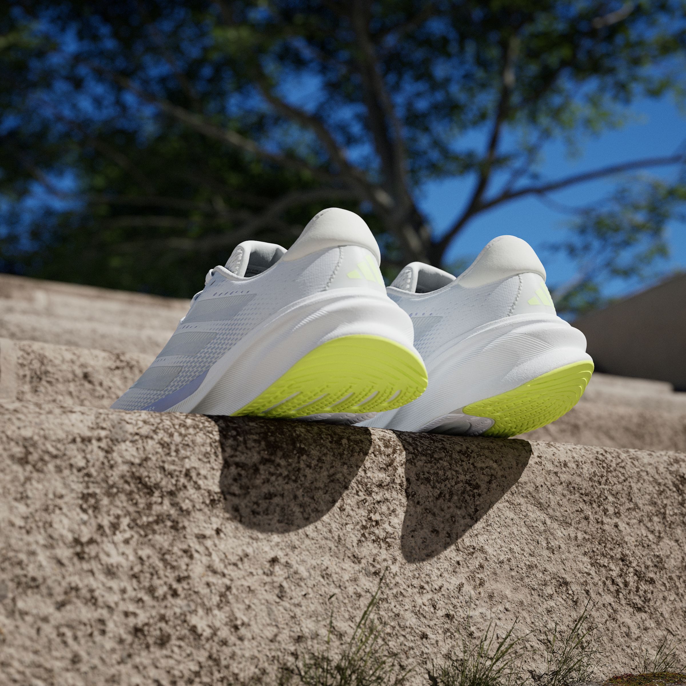 adidas Performance Runningschoenen SUPERNOVA STRIDE 2.0