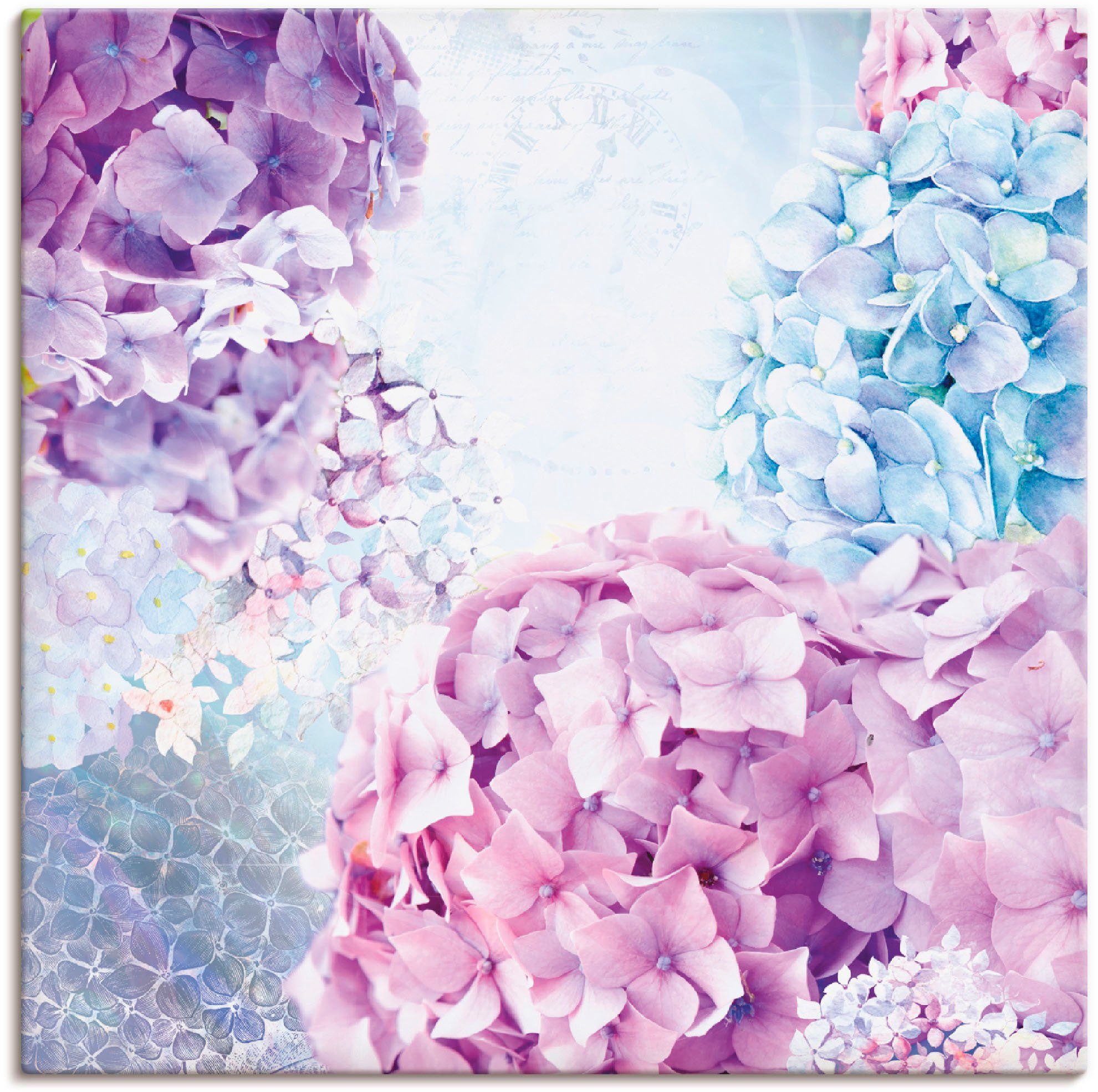 Artland artprint Blau und Pink Hortensie