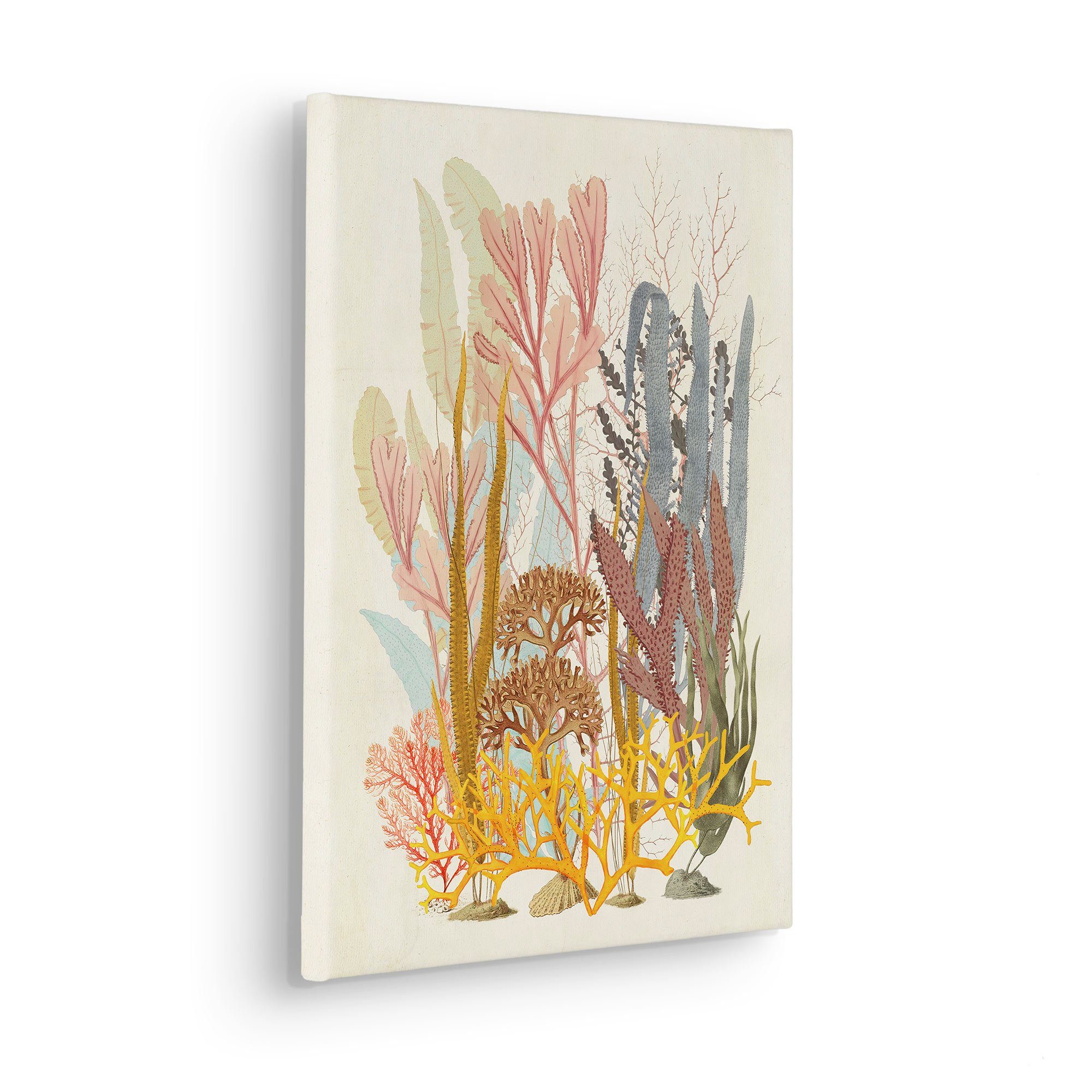 Komar Artprint op linnen Koraal Aqua - Afmeting 30 x 40 cm (1 stuk)