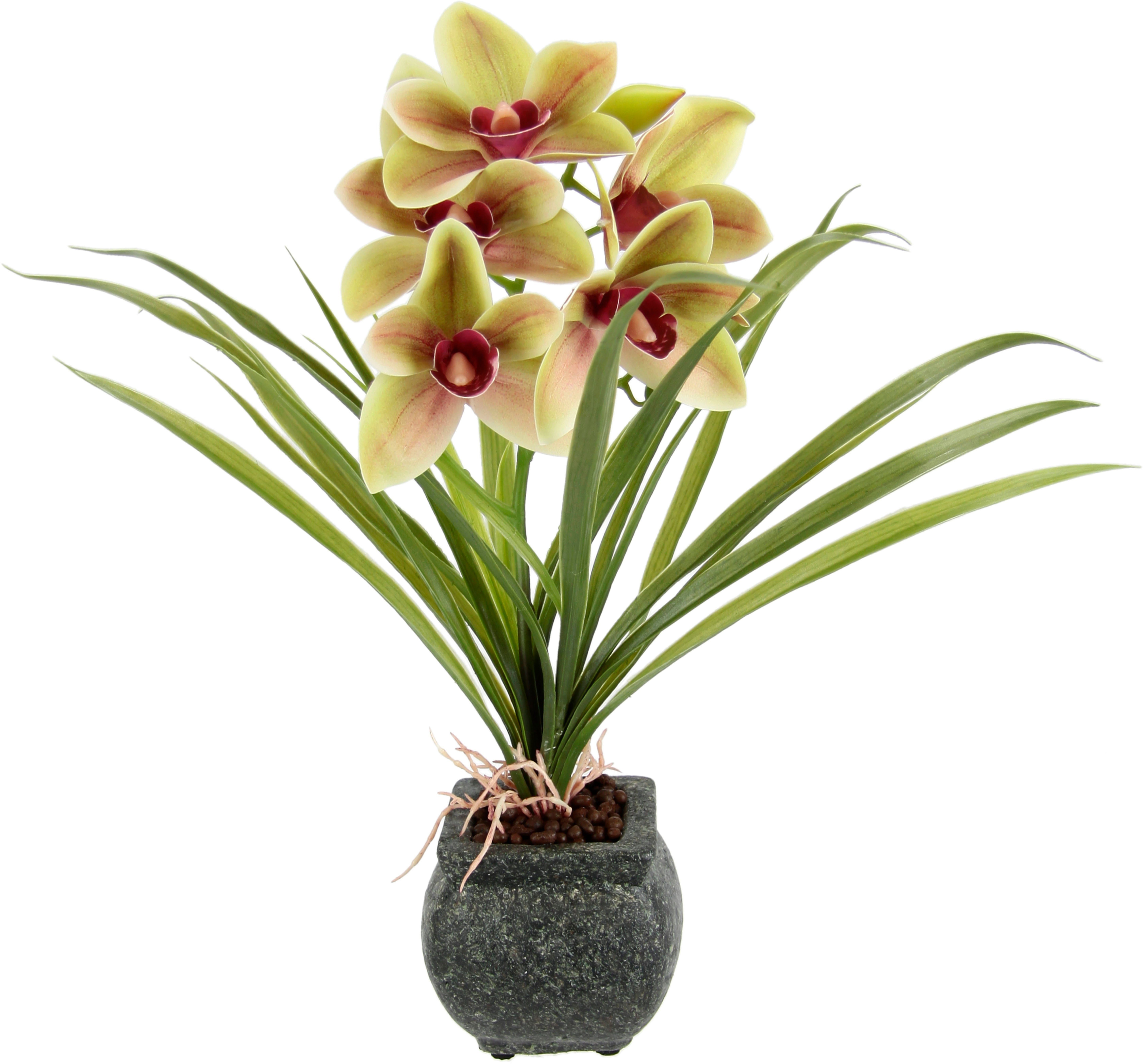 my home Kunstbloem Orchidee Met bladeren in pot van cement, kunstbloem Cymbidium-orchidee (1 stuk)