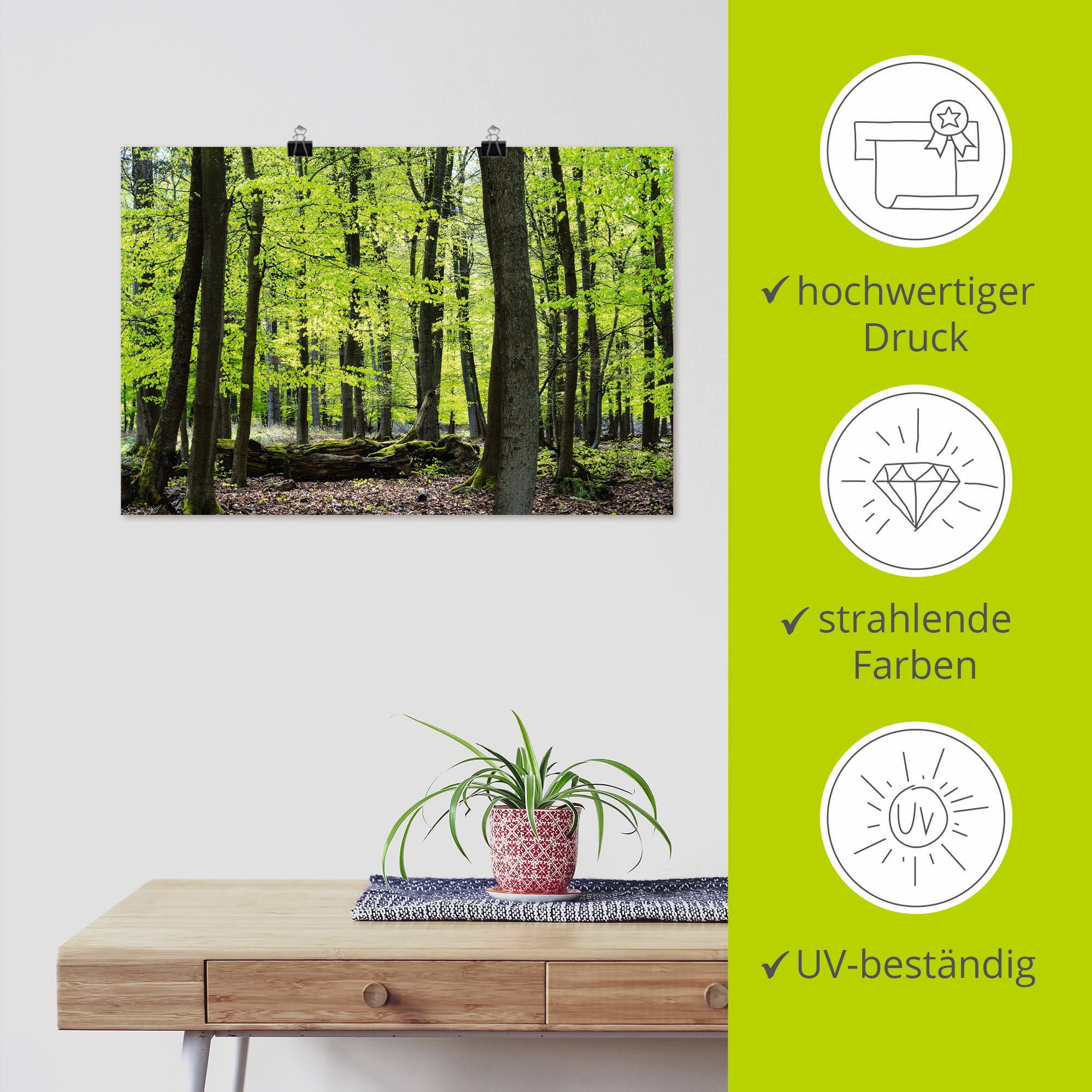 Artland Poster Loofbos in het voorjaar als artprint van aluminium, artprint op linnen, muursticker of poster in verschillende maten