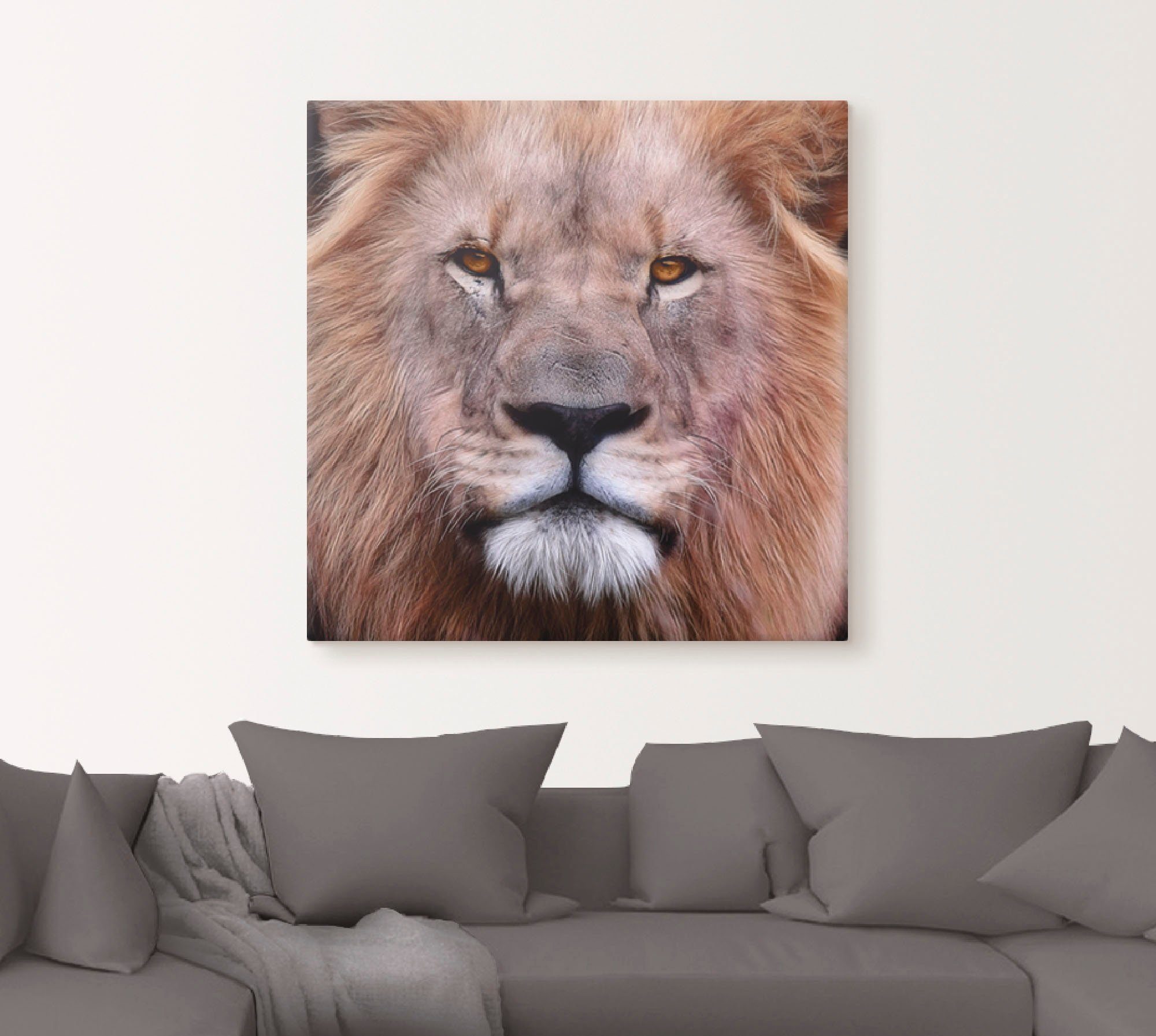 Artland Artprint op linnen Koning van de leeuwen gespannen op een spieraam