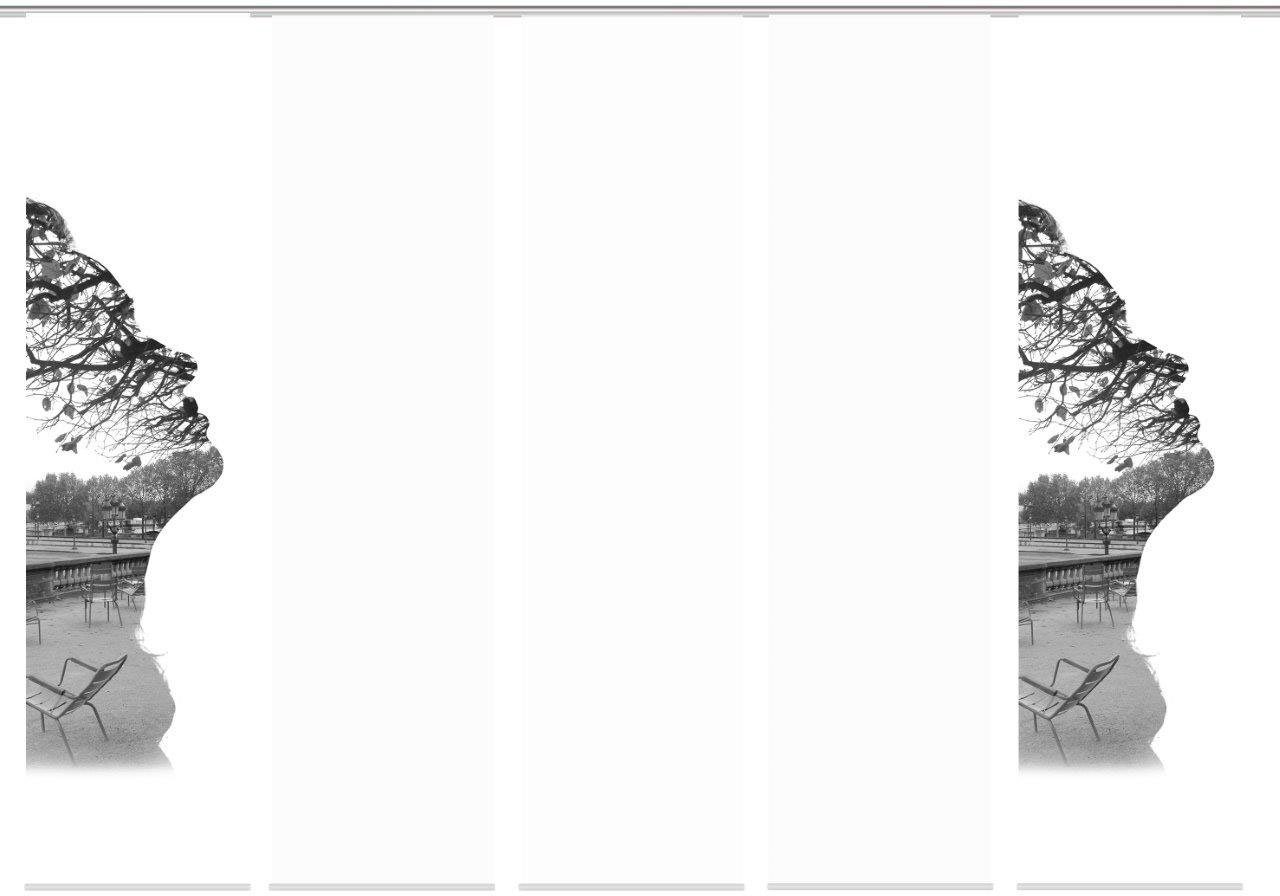 HOME WOHNIDEEN Paneelgordijn FALUNA set van 5 Gordijnstof in zijde-look, digitaal bedrukt (5 stuks)
