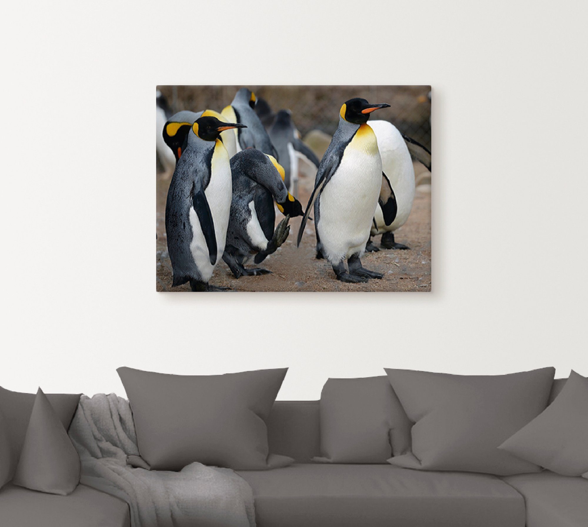 Artland Artprint Koningspinguïn als artprint op linnen, muursticker in verschillende maten