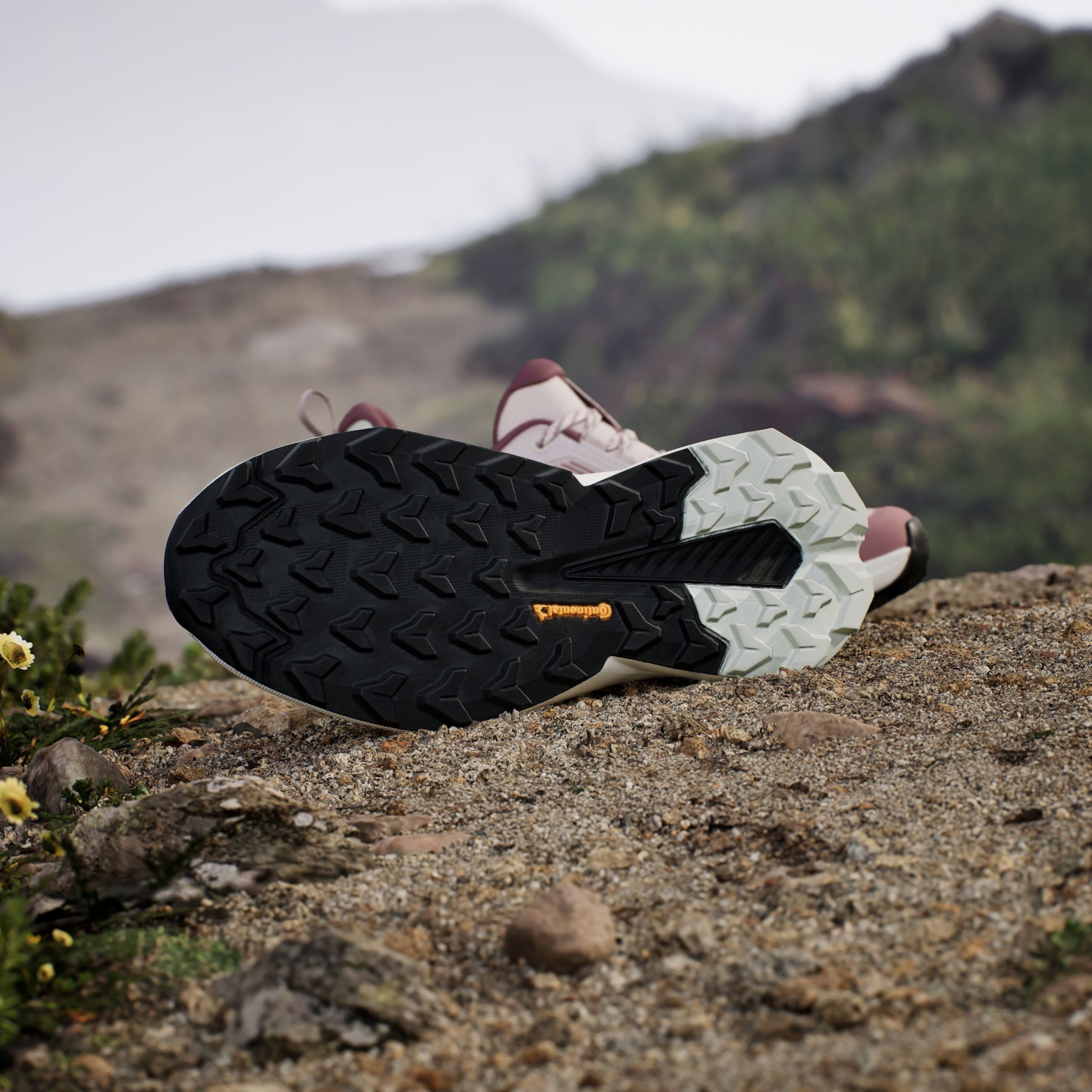 adidas TERREX Wandelschoenen