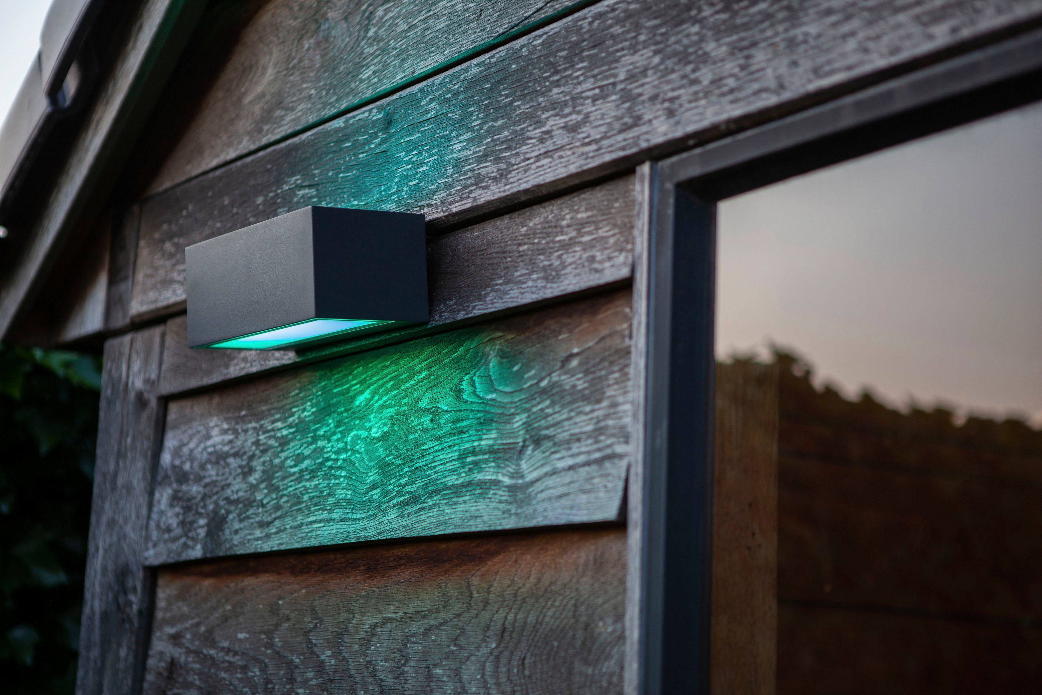LUTEC Slimme ledlamp Gemini Smart-home (1 stuk)