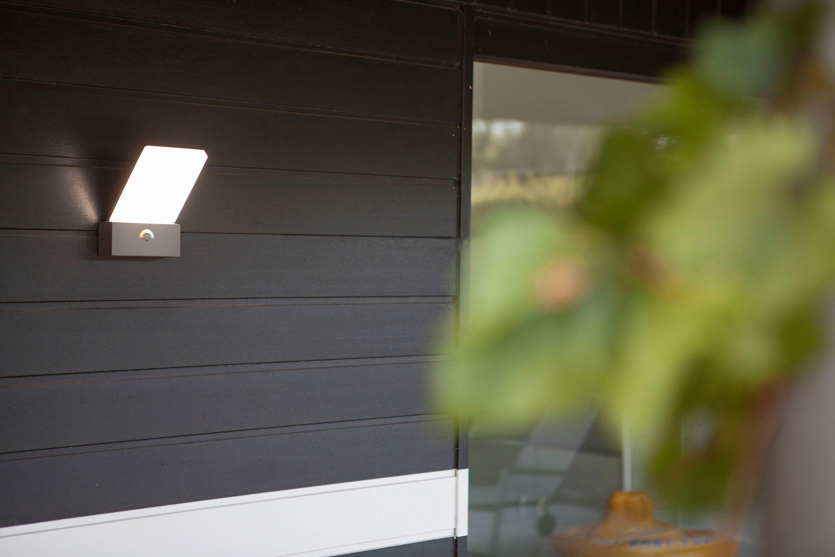 LUTEC Ledwandlamp voor buiten PANO (1 stuk)