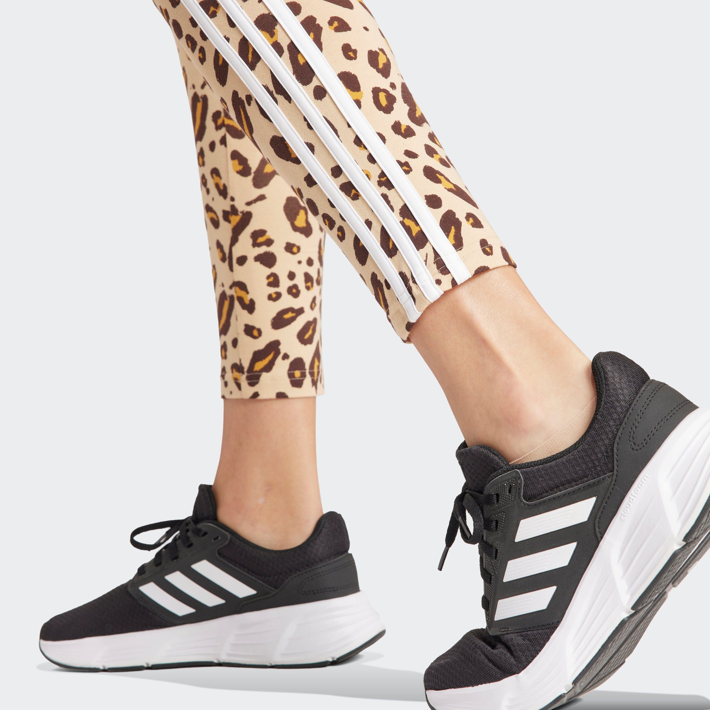 adidas Sportswear Legging ANML 3S LEG (1-delig)