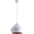 paco home hanglamp alex wit
