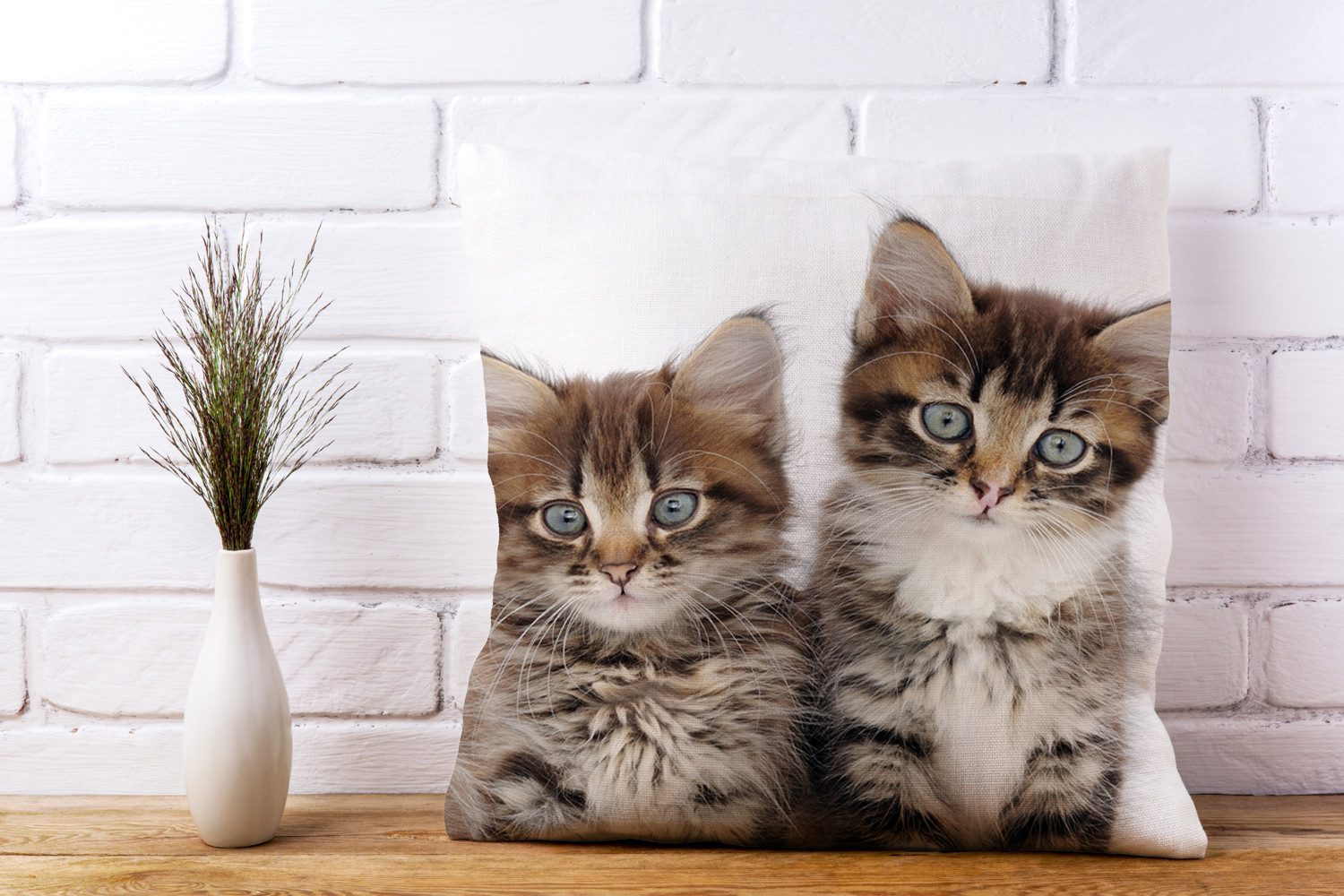 queence Sierkussen Patrick Kussenhoes, katten, dierenmotief, schattig, speels, huisdieren, decoratief (1 stuk)