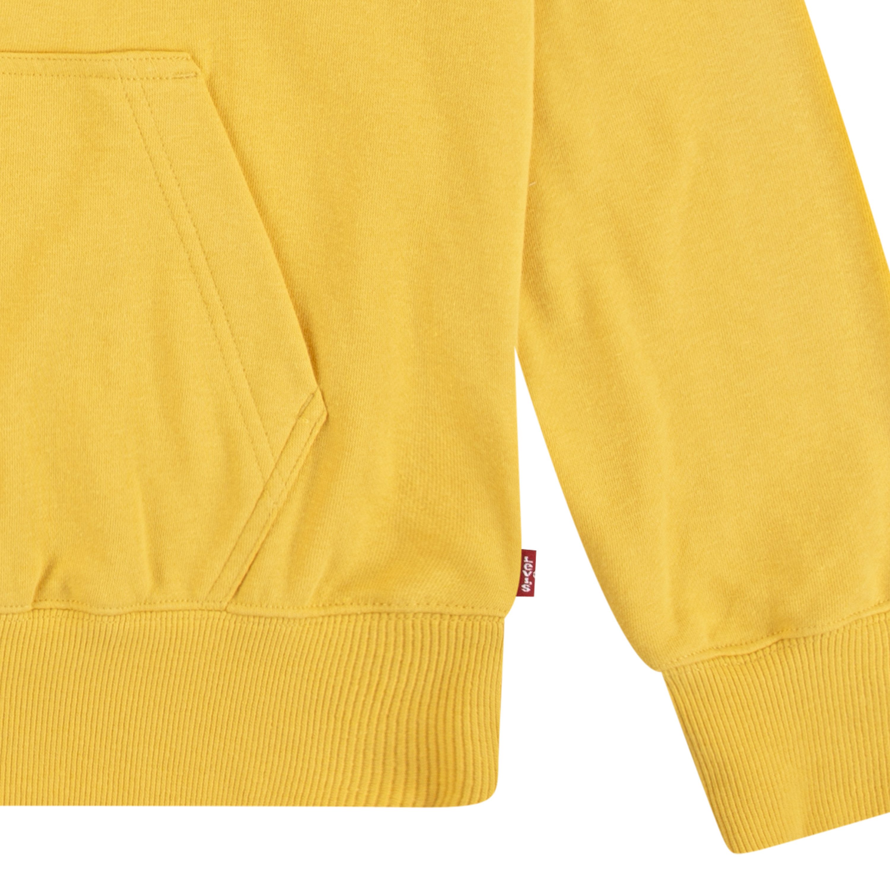 Levi's Kidswear Hoodie LVB MINI BATWING PULL OVER HOO