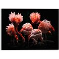 reinders! print op glas artprint op glas flamingo's renee claeys - fotografie - kunst - vogels (1 stuk) zwart