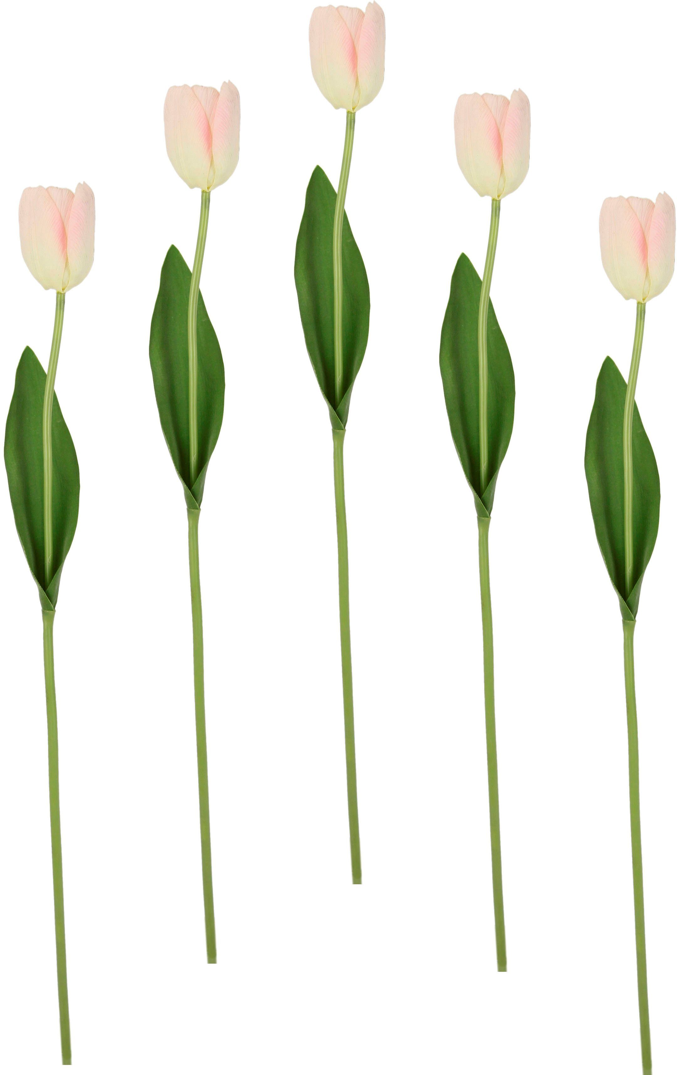 I.GE.A. Kunstbloem Real Touch Tulpen set van 5 kunst-tulpenknoppen kunstbloemen snijbloem (5 stuks)