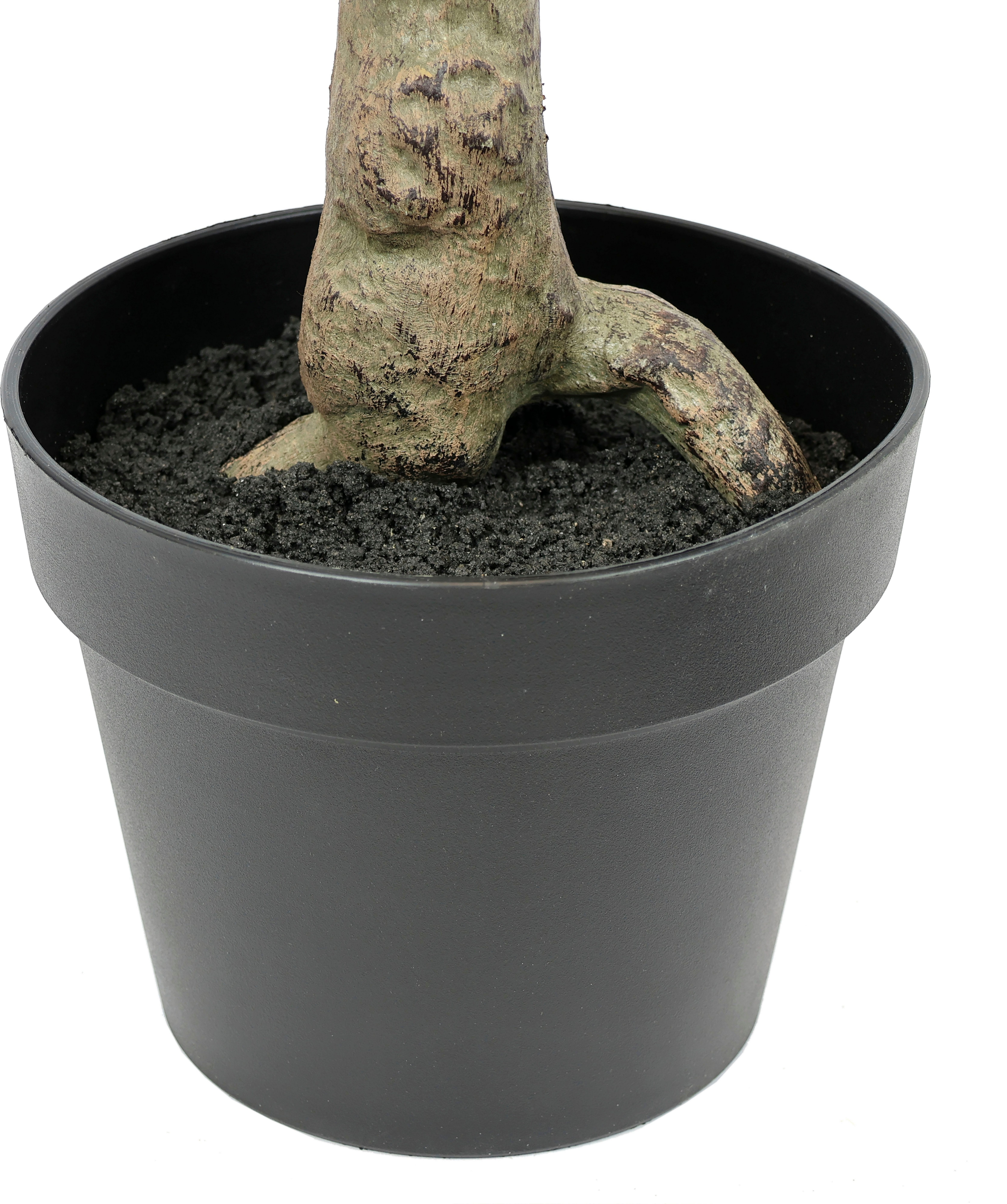 I.GE.A. Kunstplant Kunstboom eucalyptus in pot plant decoratie struik Kunstbloem, kunst, groene planten, zilver dollar bladeren (1 stuk)