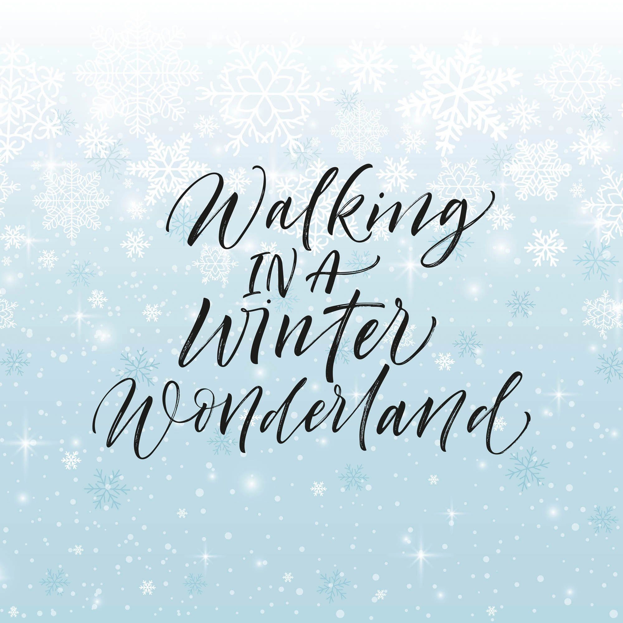 queence Sierkussen Winter Wonderland Kussenhoes, Wandelen in een Winter Wonderland, uitspraak, kerst, winter (1 stuk)