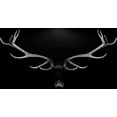 spiegelprofi gmbh decoratief paneel deer antlers (1 stuk) multicolor