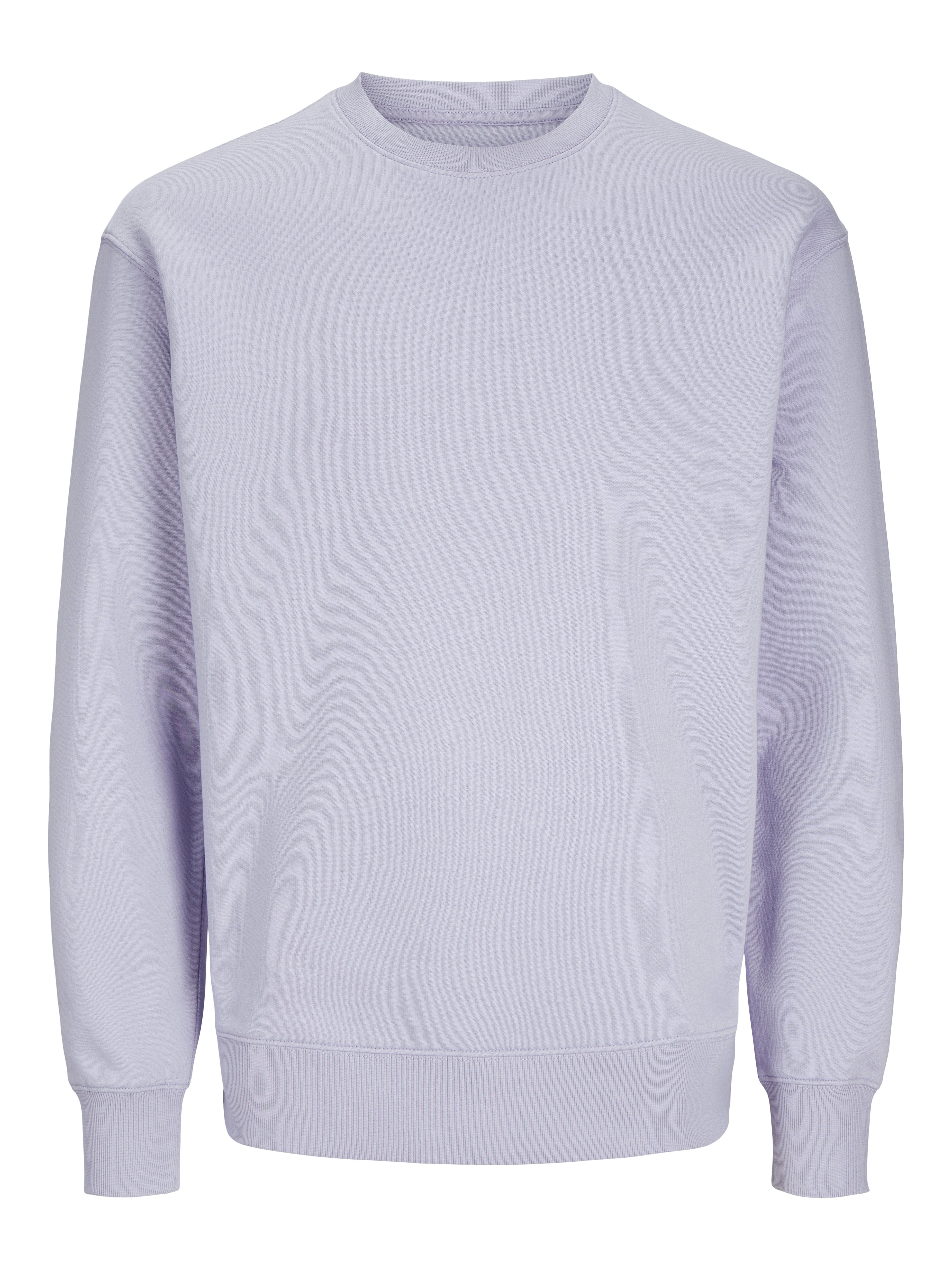 Jack & Jones Sweatshirt JJESTAR BASIC SWEAT CREW NECK NOOS