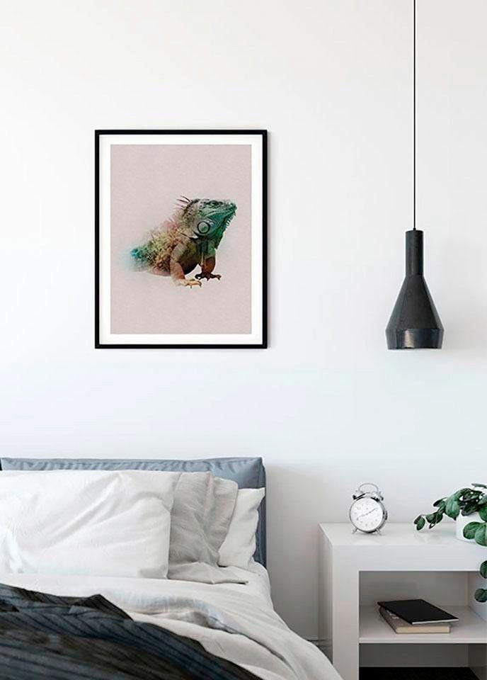 Komar Wanddecoratie Animals Paradise Iguana Wanddecoratie - zonder lijst (1 stuk)