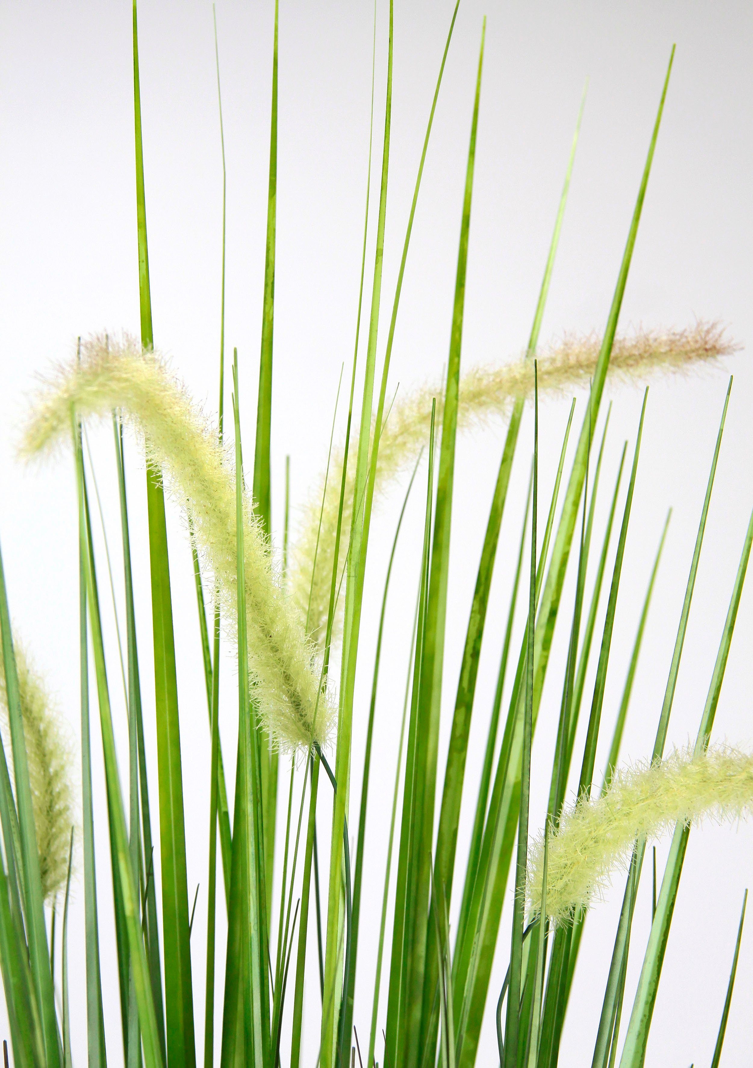 I.GE.A. Kunstplant Vossenstaart Met overpot kunstgras decoratie borstenhirse Panicoideae zoetgrassen Setaria (2 stuks) kunstplanten groen