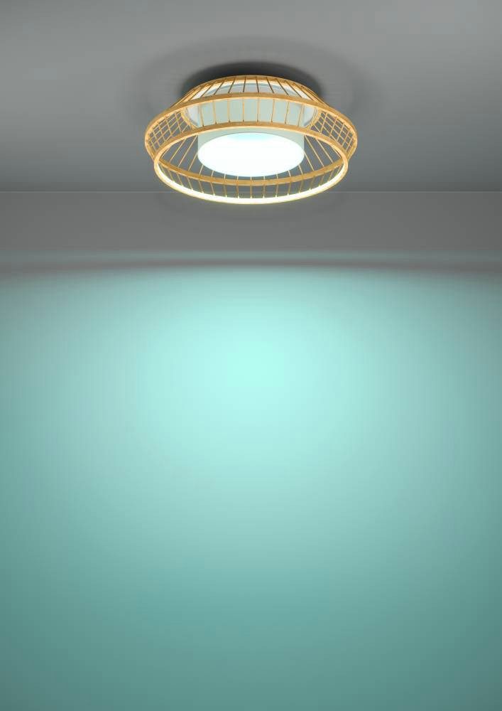 EGLO Plafondlamp YUKU-Z ZigBee, app en spraakbesturing Alexa, RGB, dimbaar, Ø 46 cm (1 stuk)