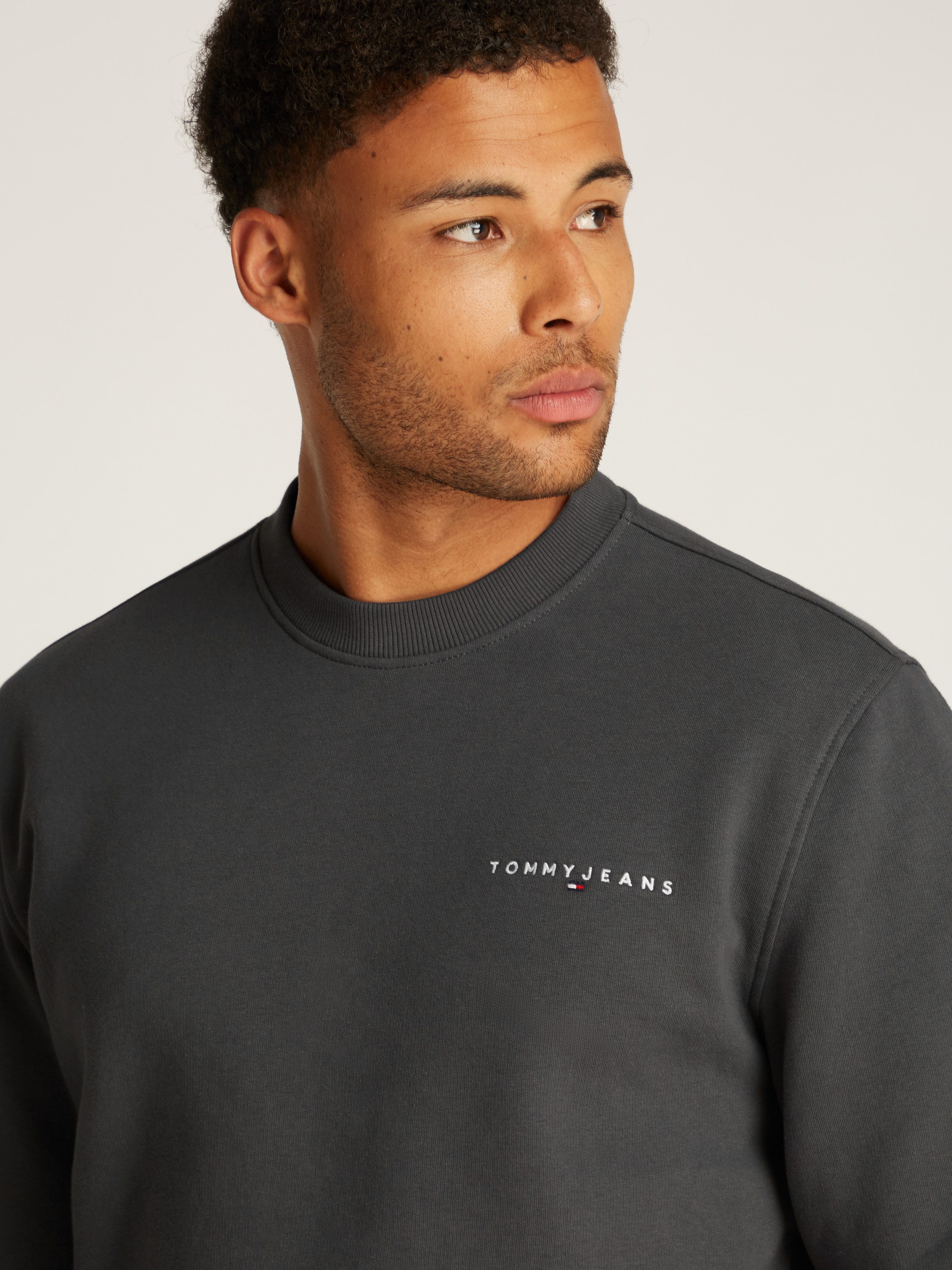 TOMMY JEANS Sweatshirt TJM REG LINEAR CREW EXT