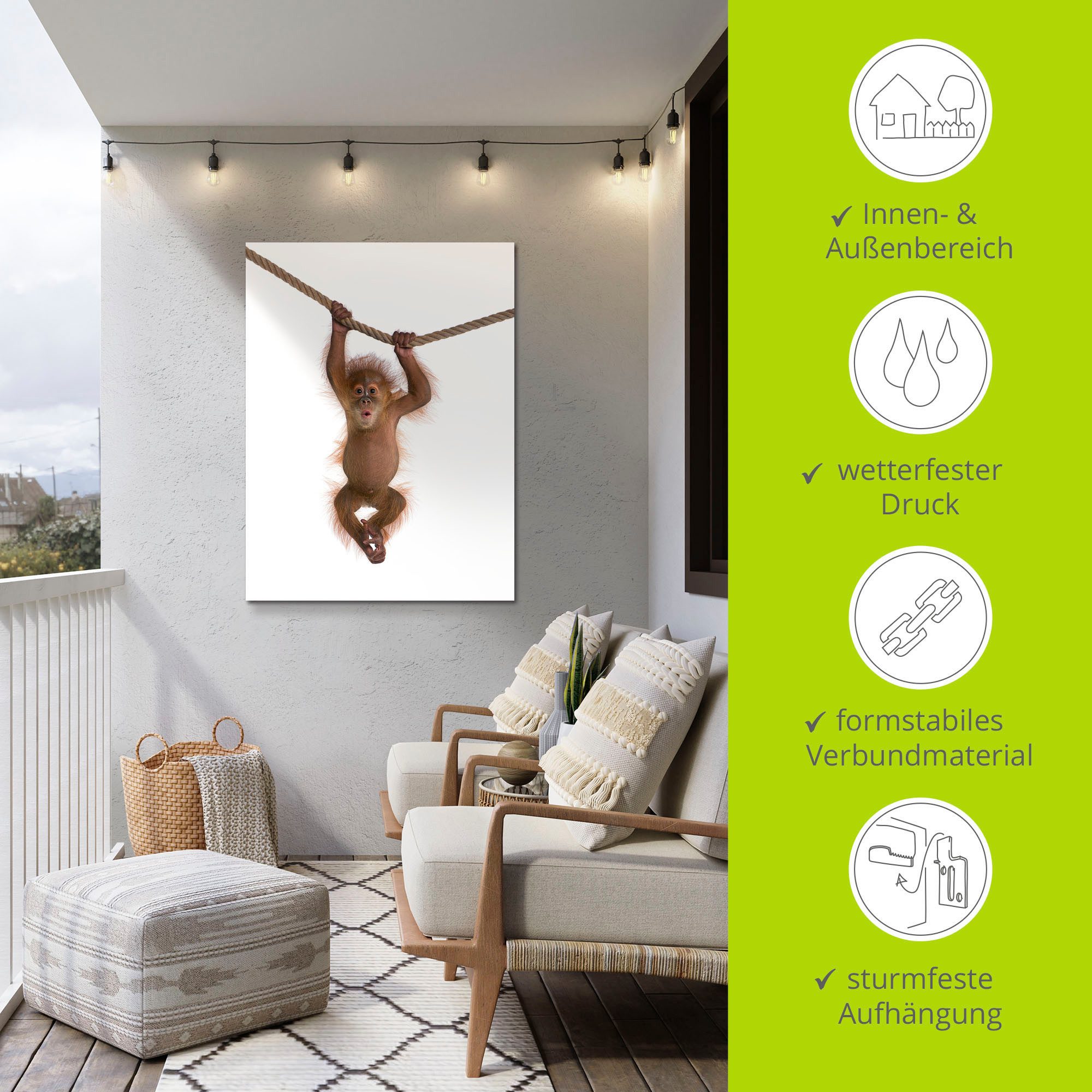 Artland Artprint Baby orang oetan hangt aan het touw II als artprint van aluminium, artprint voor buiten, artprint op linnen, poster, muursticker