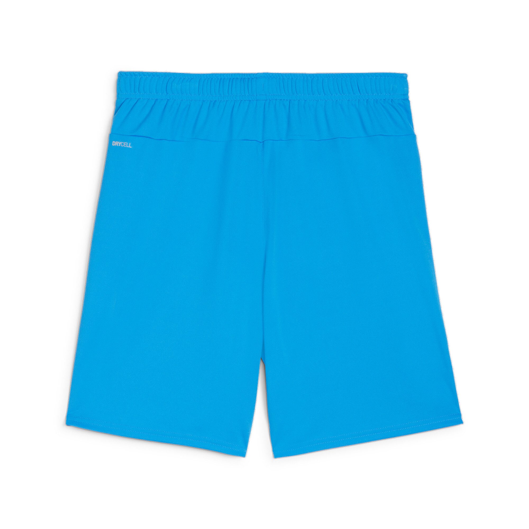 PUMA Trainingsshort TEAMGOAL SHORTS