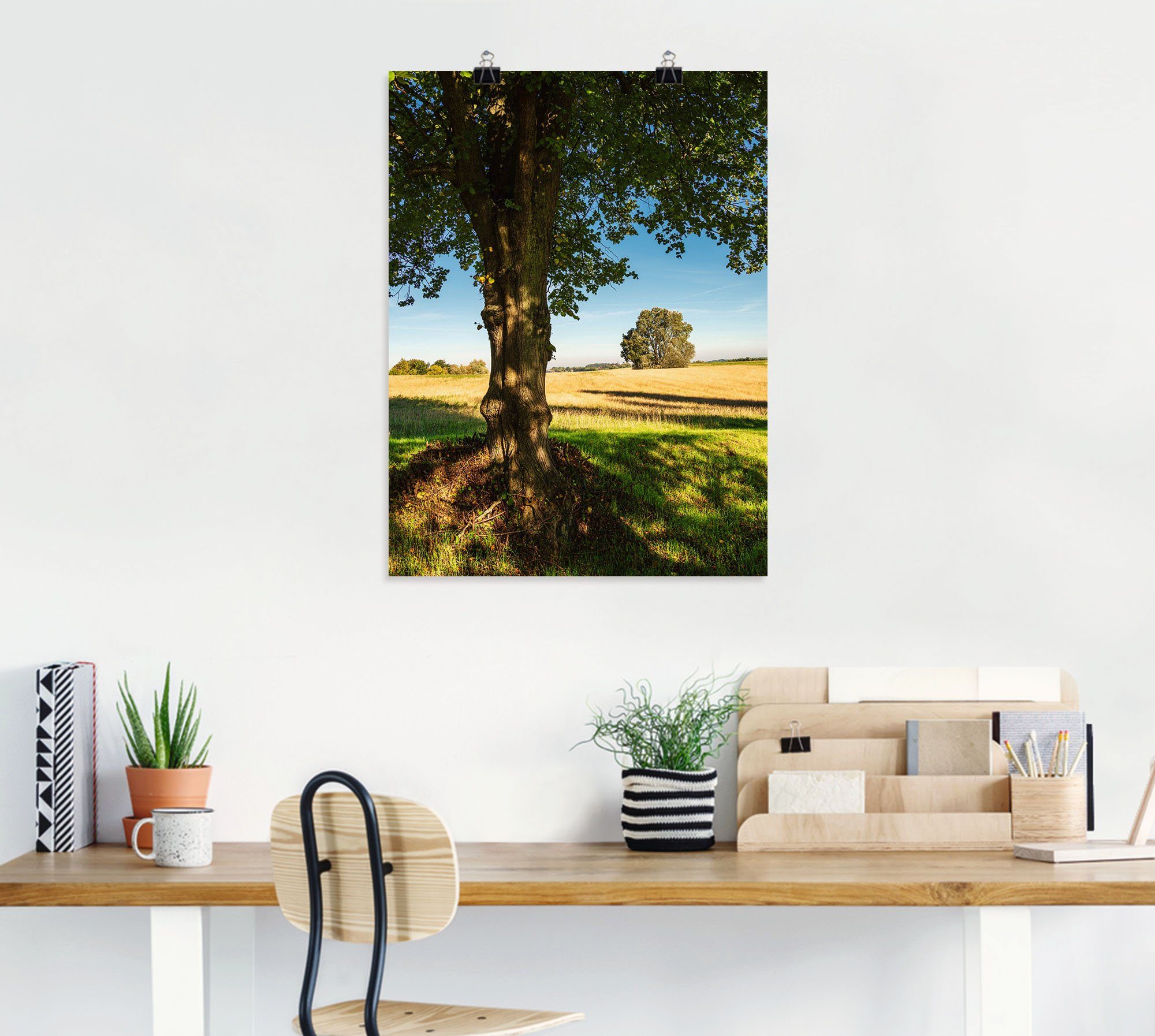 Artland Poster Veld en bomen bij Hohen Demzin als artprint van aluminium, artprint op linnen, muursticker of poster in verschillende maten