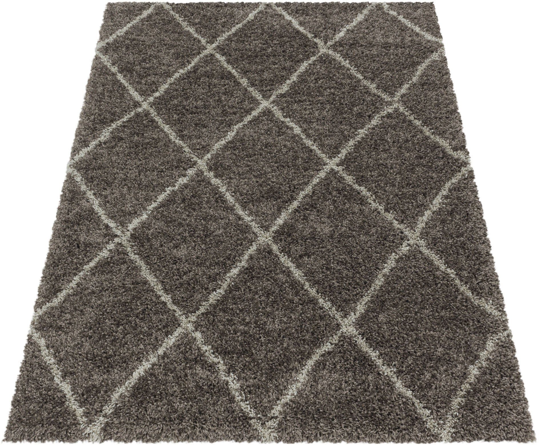 Ayyildiz Teppiche Hoogpolig vloerkleed ALVOR 3401
