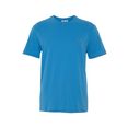 lacoste t-shirt modern kleurdesign