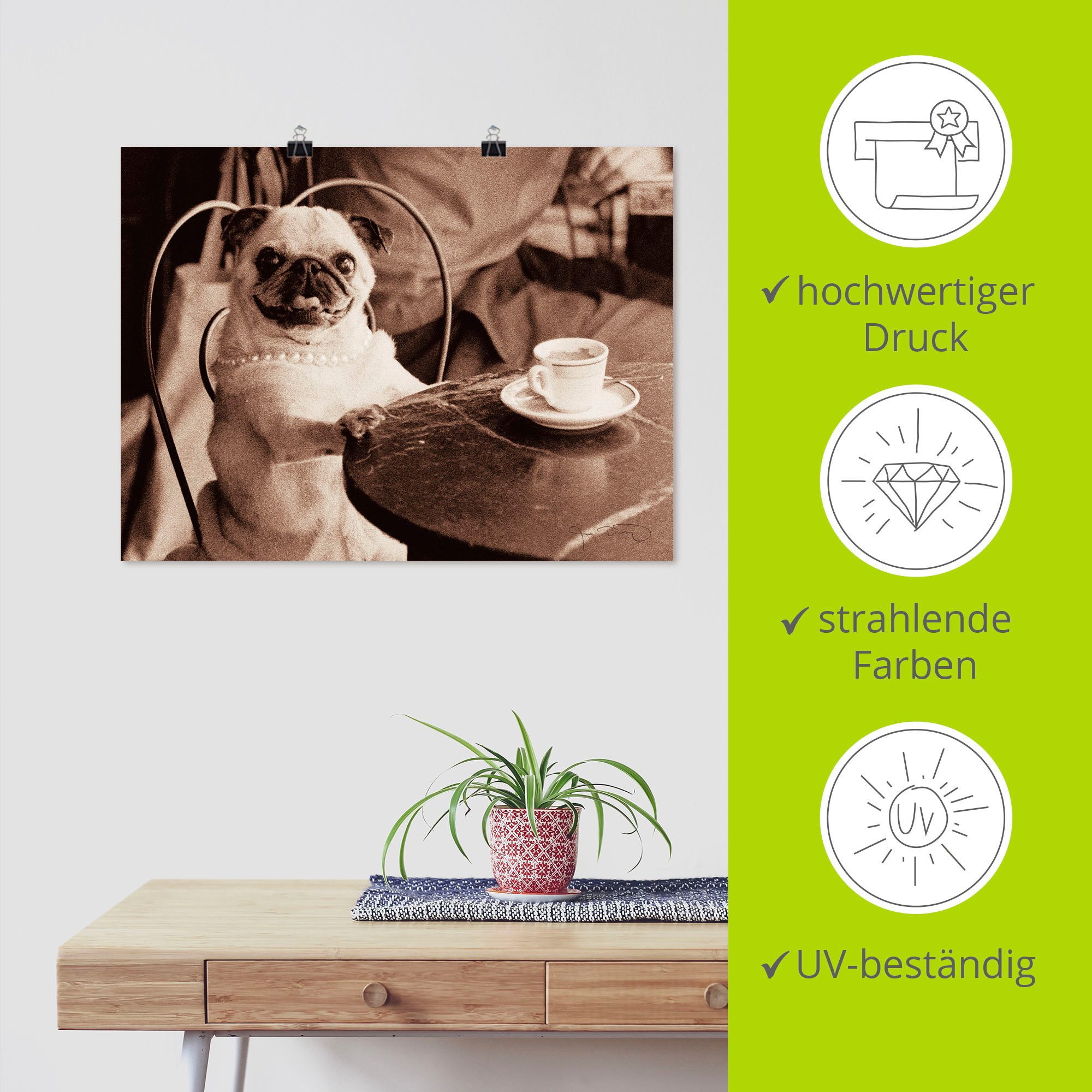 Artland Artprint Koffie mopshond als artprint op linnen, poster, muursticker in verschillende maten