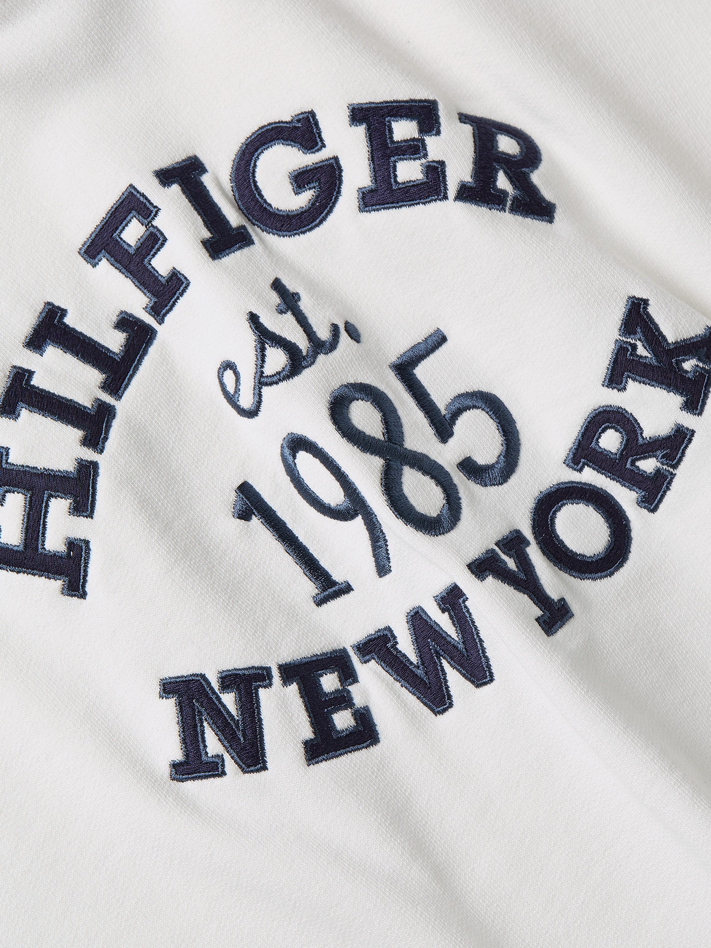 Tommy Hilfiger Hoodie MDRN REG VARSITY HOODIE