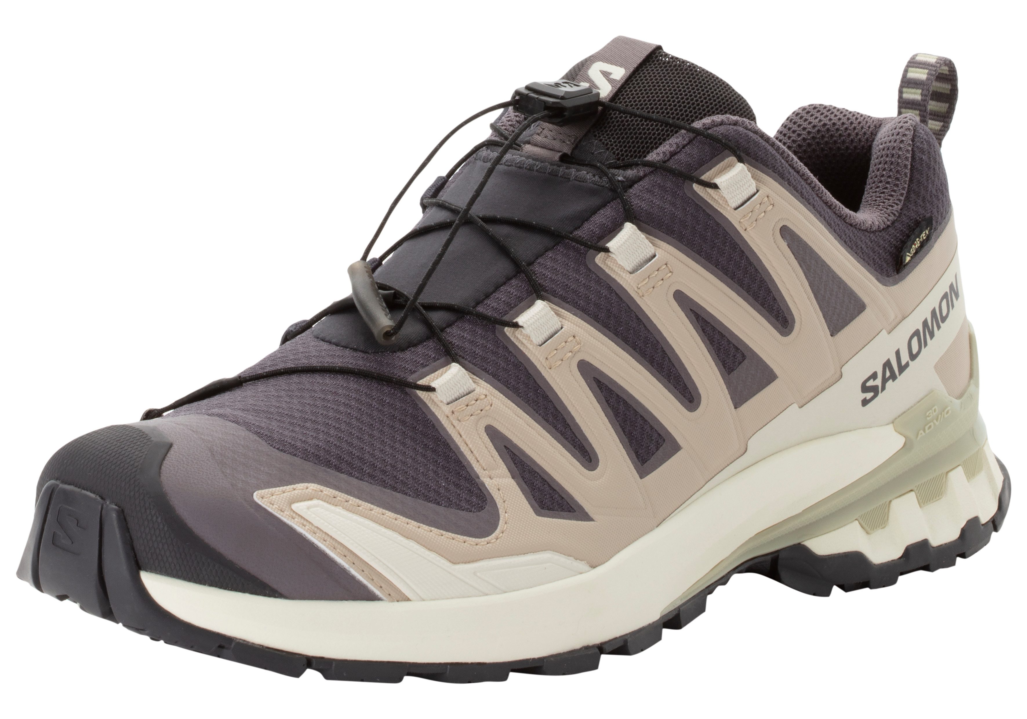 Salomon Trailrunningschoenen XA PRO 3D V9 GTX W dames hardloopschoenen maat 42 paars