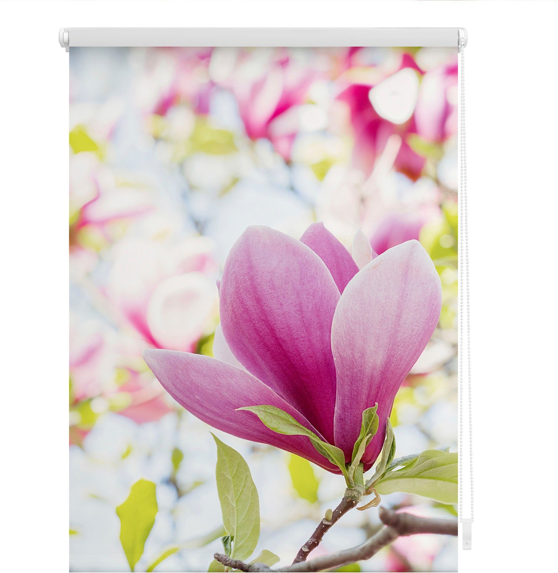 LICHTBLICK Rolgordijn met zijbediening Rolgordijn Klemmfix, zonder boren, verduistering, magnolia - roze (1 stuk)