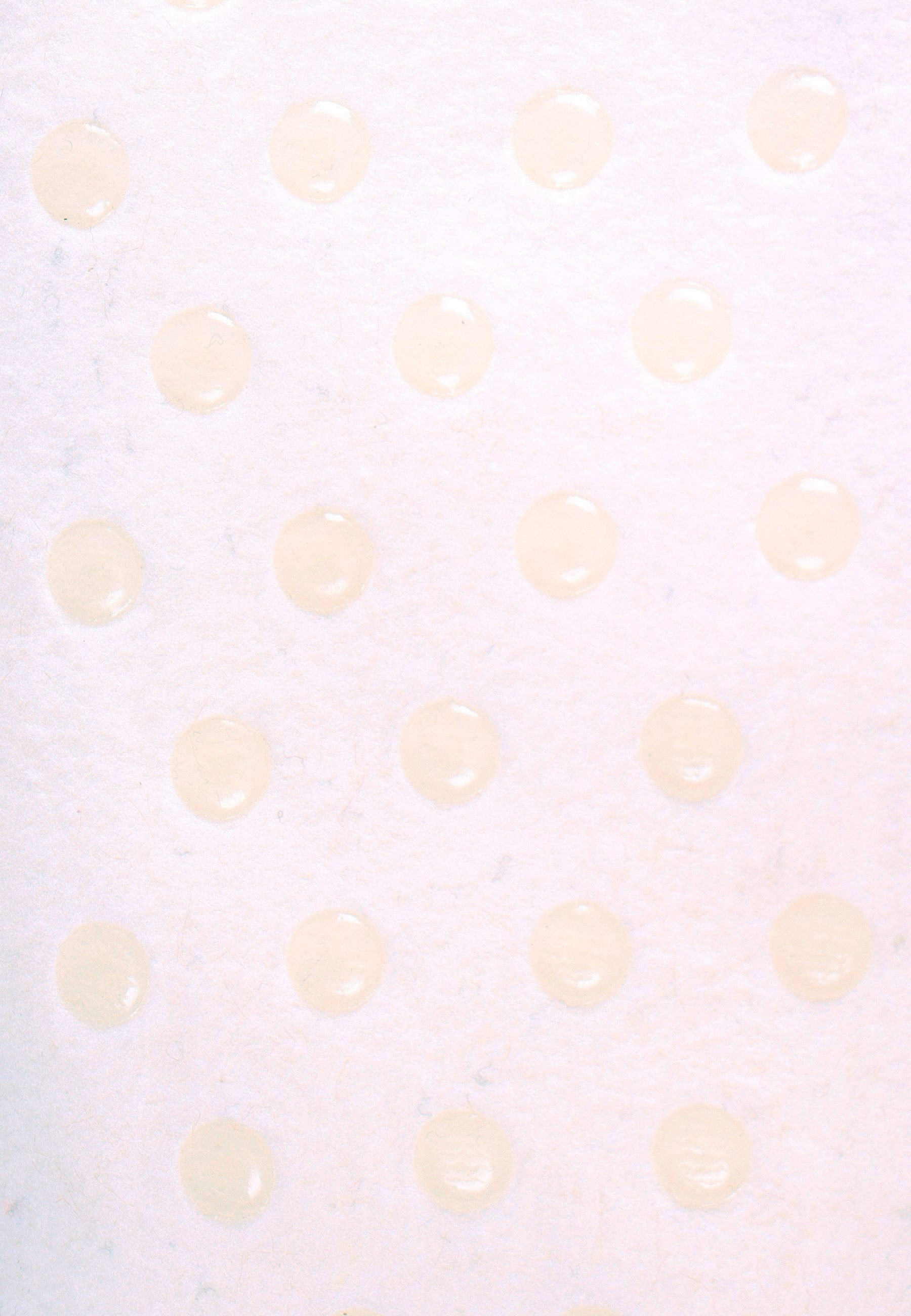 Capelli New York Huissokken (1 paar)