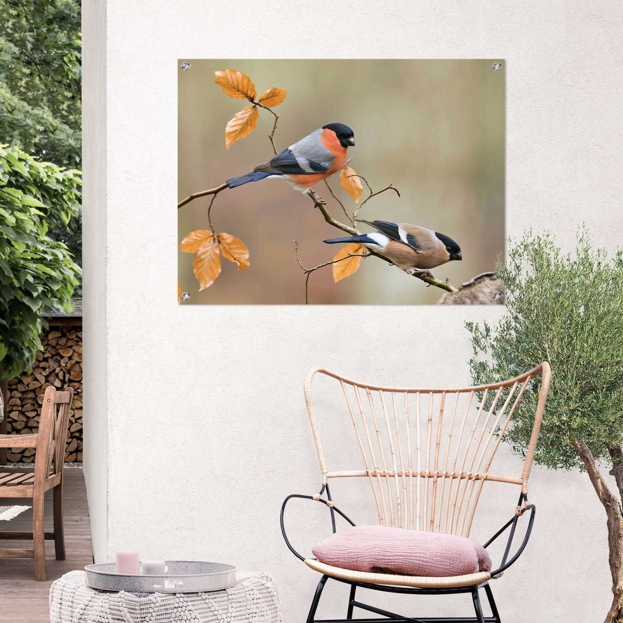 Reinders! Poster Gimpel Outdoor voor tuin of balkon