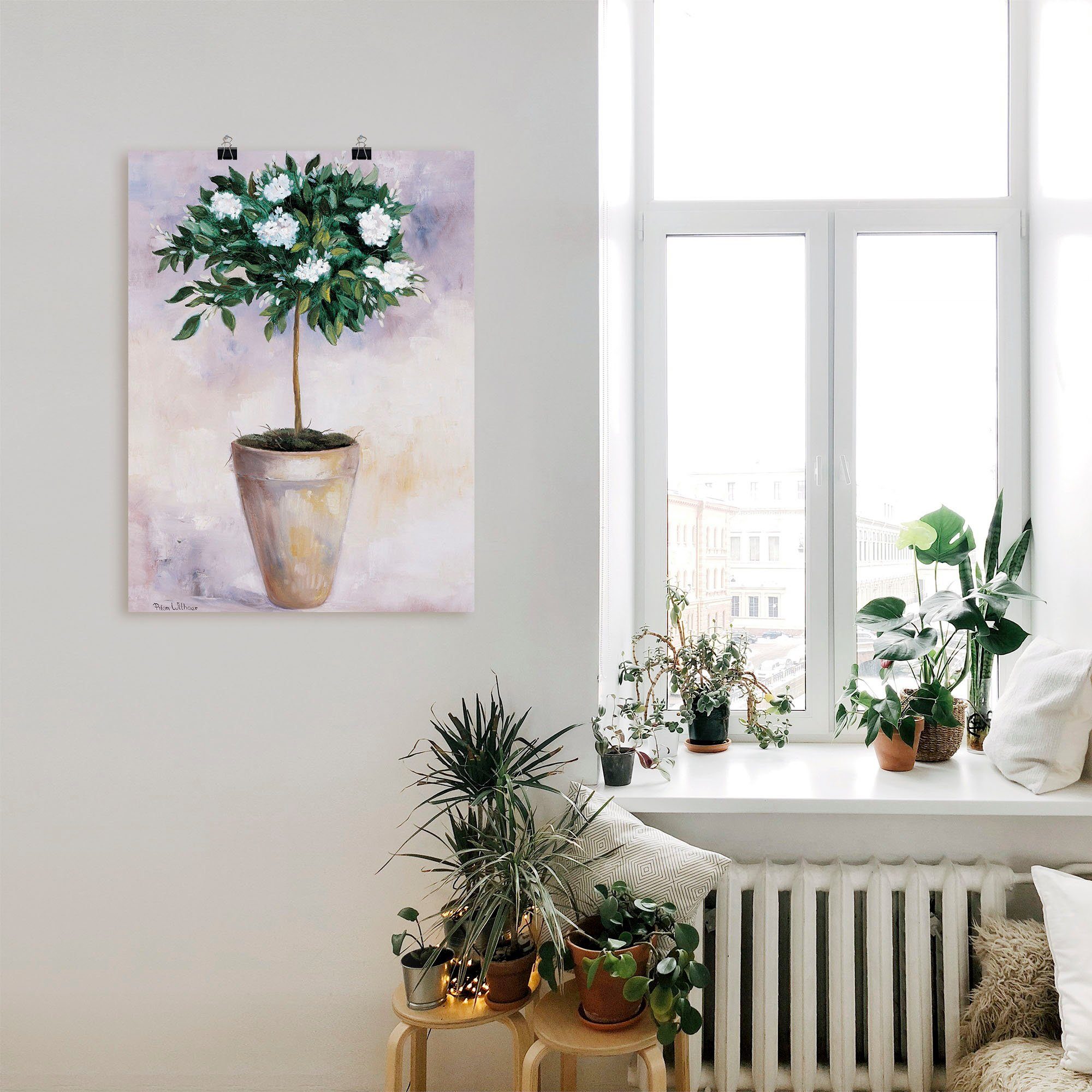 Artland Artprint Winter jasmijn als poster, muursticker in verschillende maten