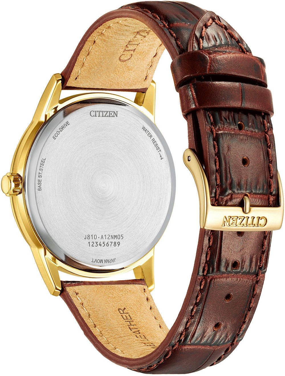 Citizen Solarhorloge Horloge, herenhorloge, leren band, analoog, dag