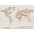 komar fotobehang earth map bruin