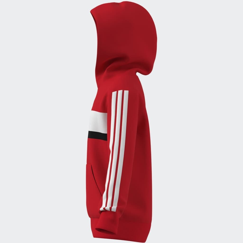 adidas Sportswear Hoodie J 3S TIB FL HD
