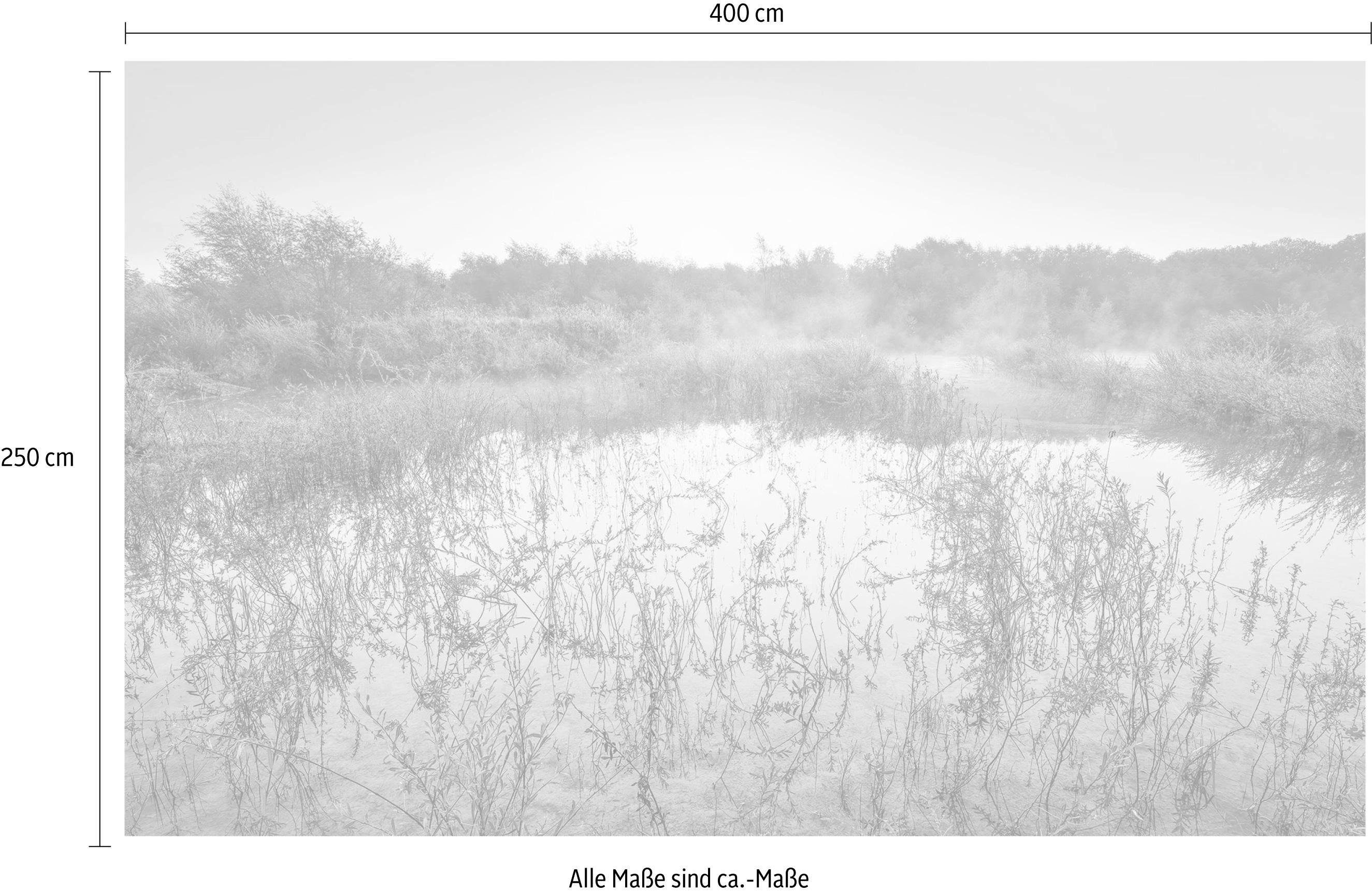 Komar Vliesbehang Digitale print vlies - Morning View II - Afmeting 400 x 250 cm (1 stuk)