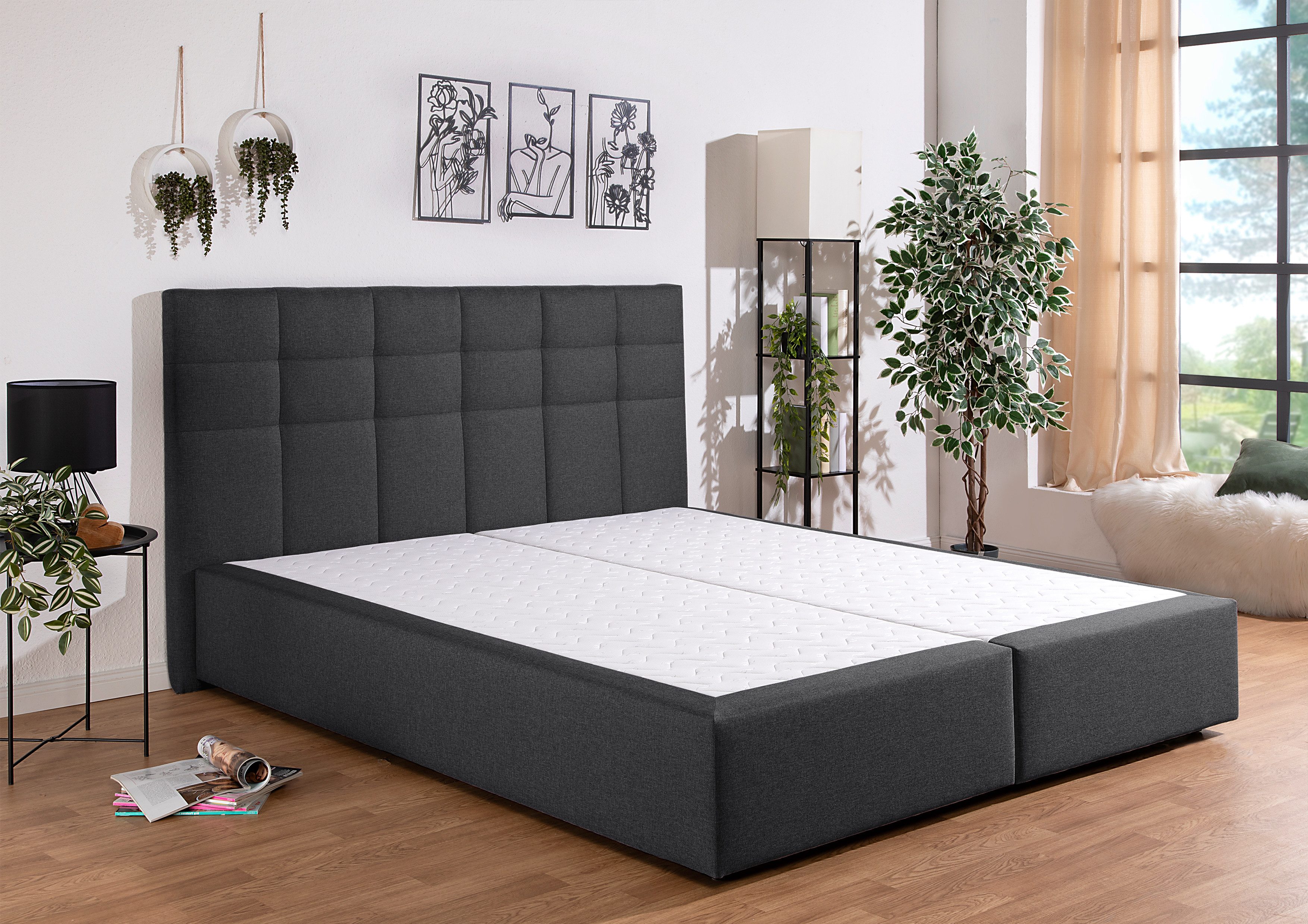 INOSIGN Boxspring OVALO optioneel met bedbox, verkrijgbaar in h2, h3 & h4